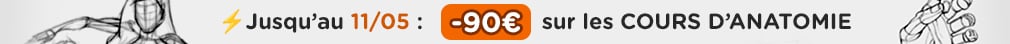 -90€ sur les cours d'Anatomie pendant 7 jours à partir du Mardi 5 Mai 2026