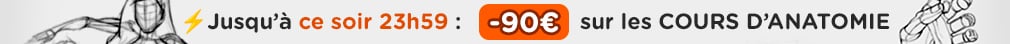 -90€ sur les cours d'Anatomie jusqu'à ce soir 23h59