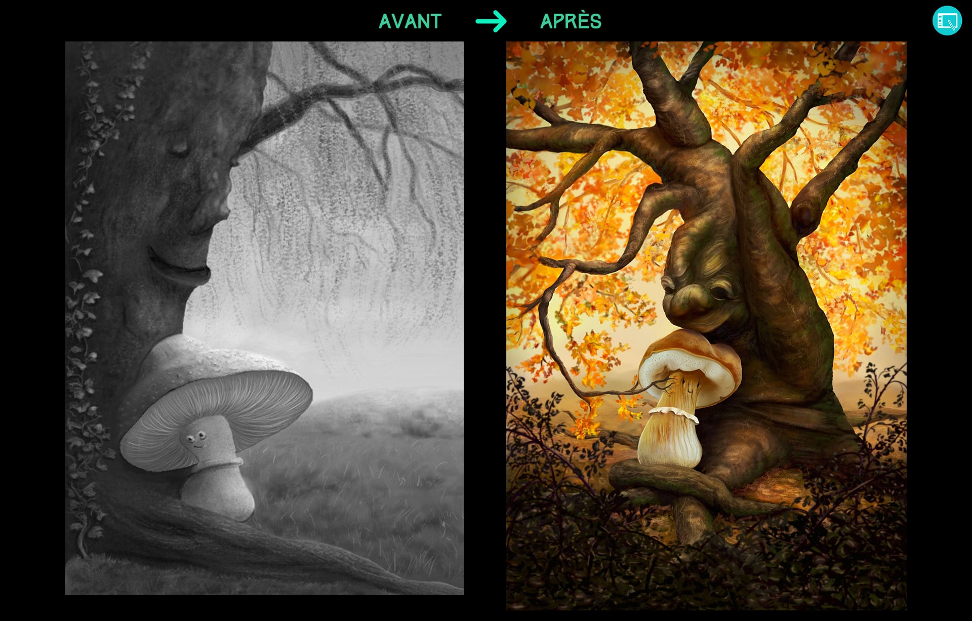 Avant/Après