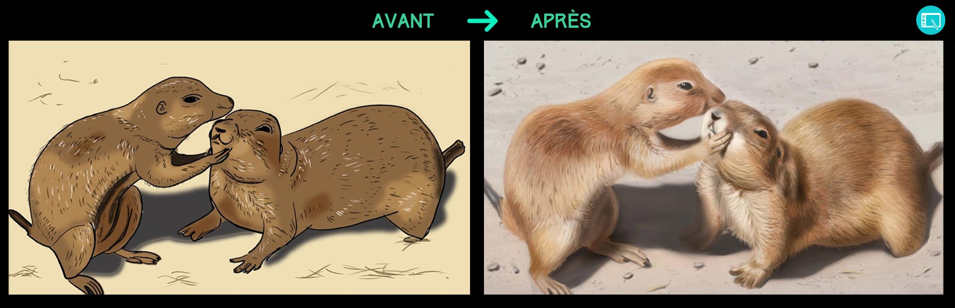 Avant/Après