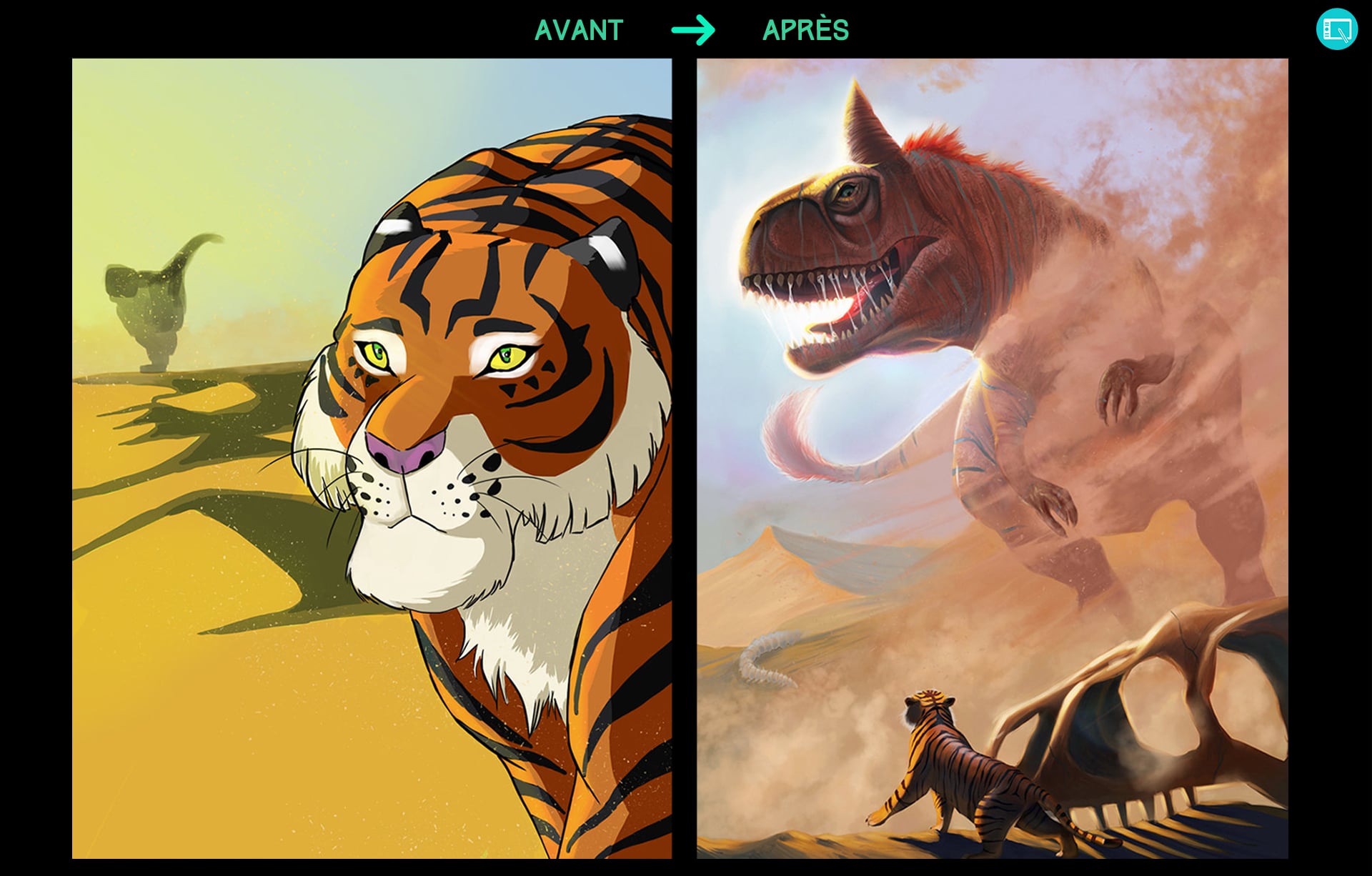 Avant/Après