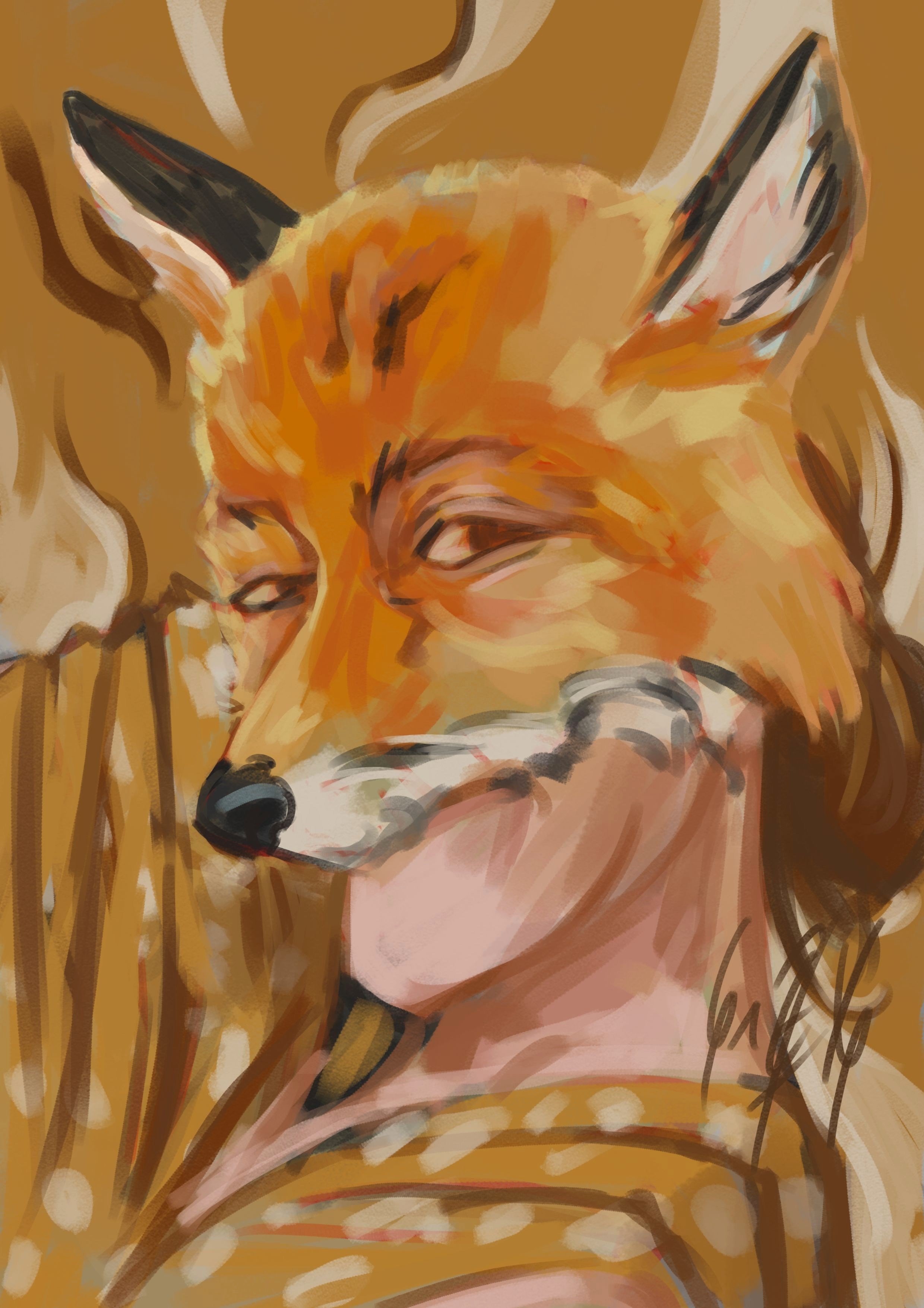 des renards à foison par renardou_chetif