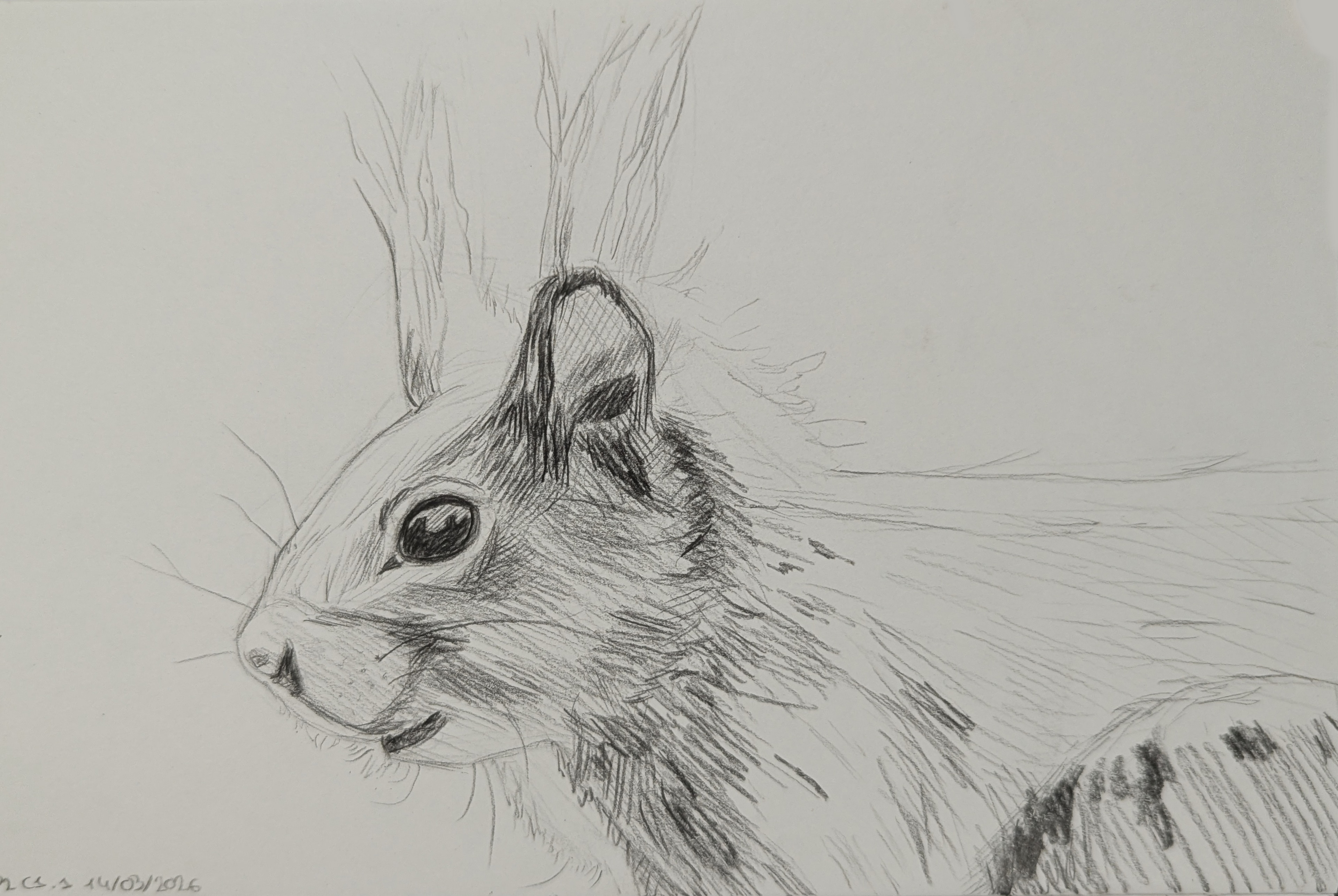 Tradi - Etudes aux feutres fins / crayons graphites par bougnat