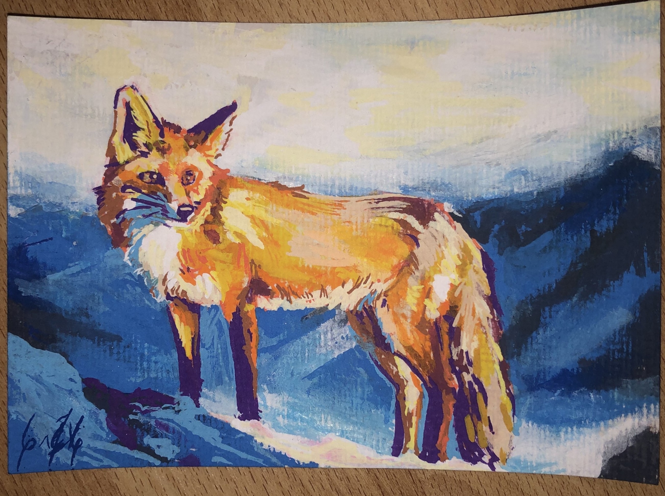 des renards à foison par renardou_chetif