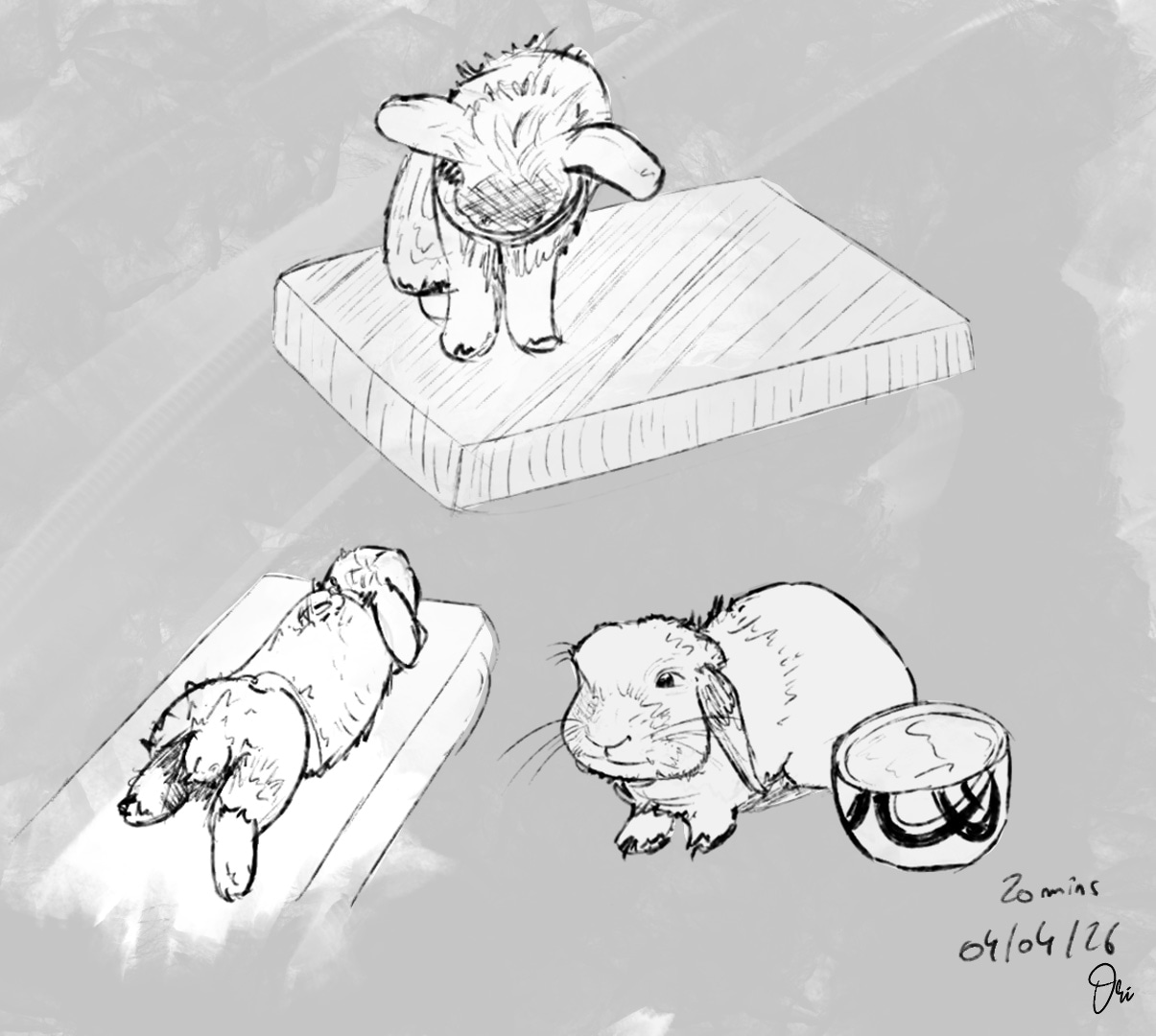 Défi d'Avril 2026 : 15 Minutes par jour par ori