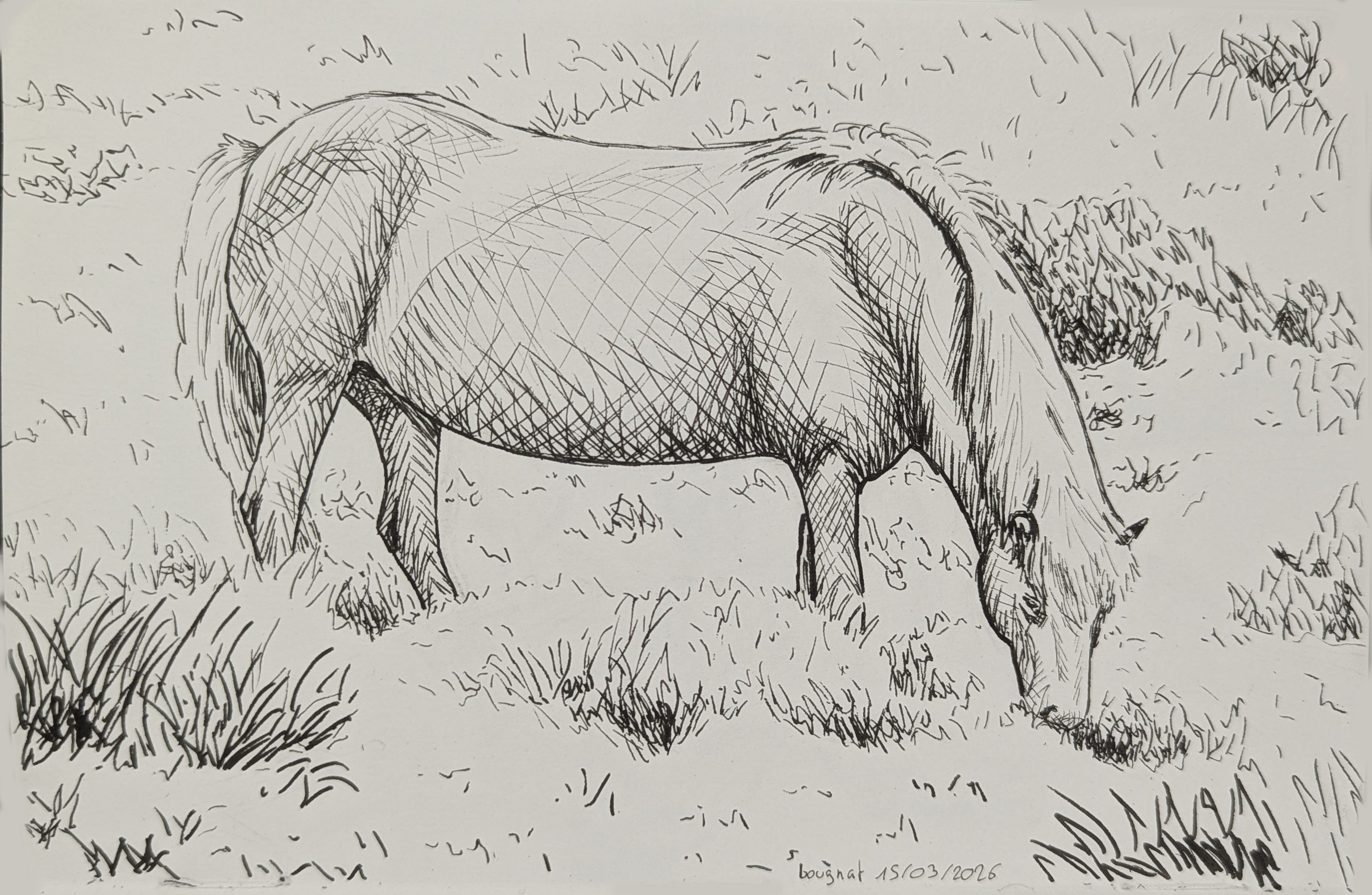 Tradi - Etudes aux feutres fins / crayons graphites par bougnat