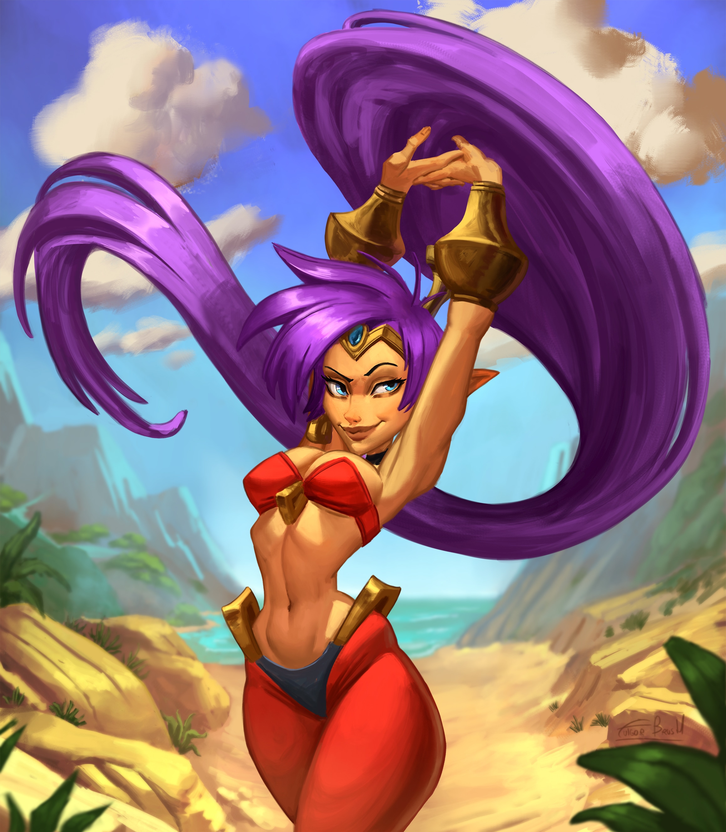 My first Shantae of 2026 par fulgorbrush