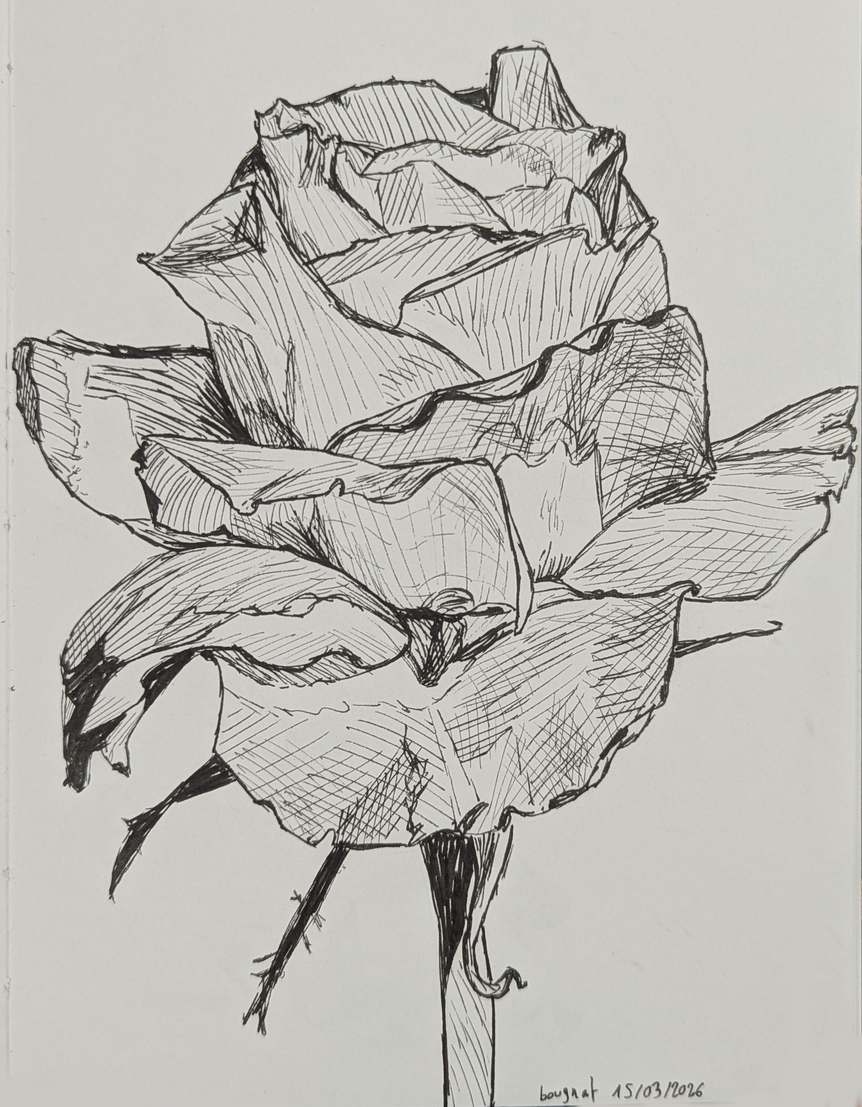 Tradi - Etudes aux feutres fins / crayons graphites par bougnat