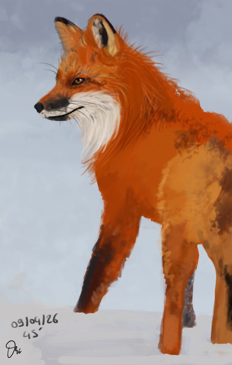 Défi d'Avril 2026 : 15 Minutes par jour par ori