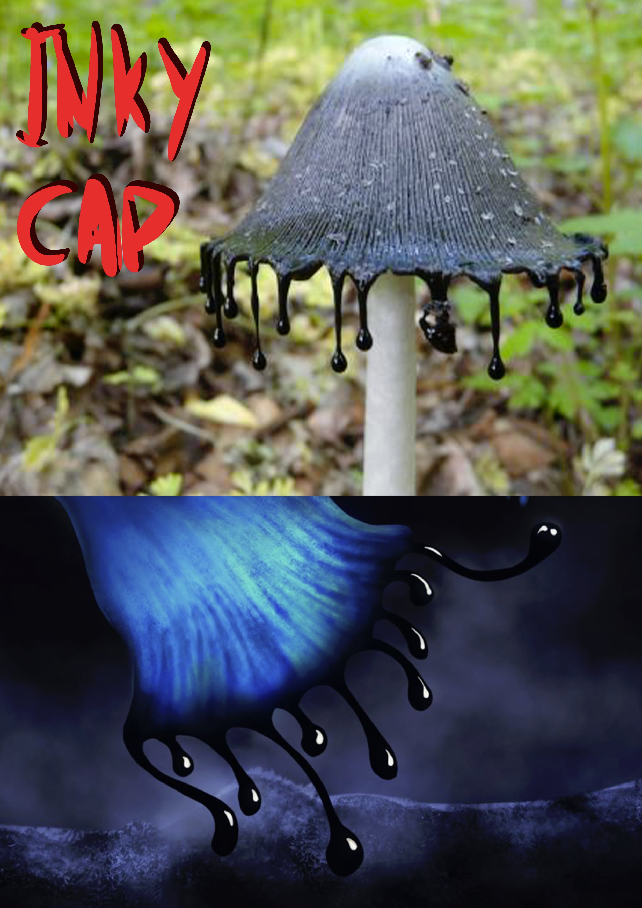 Mushroom Soul par Sliv