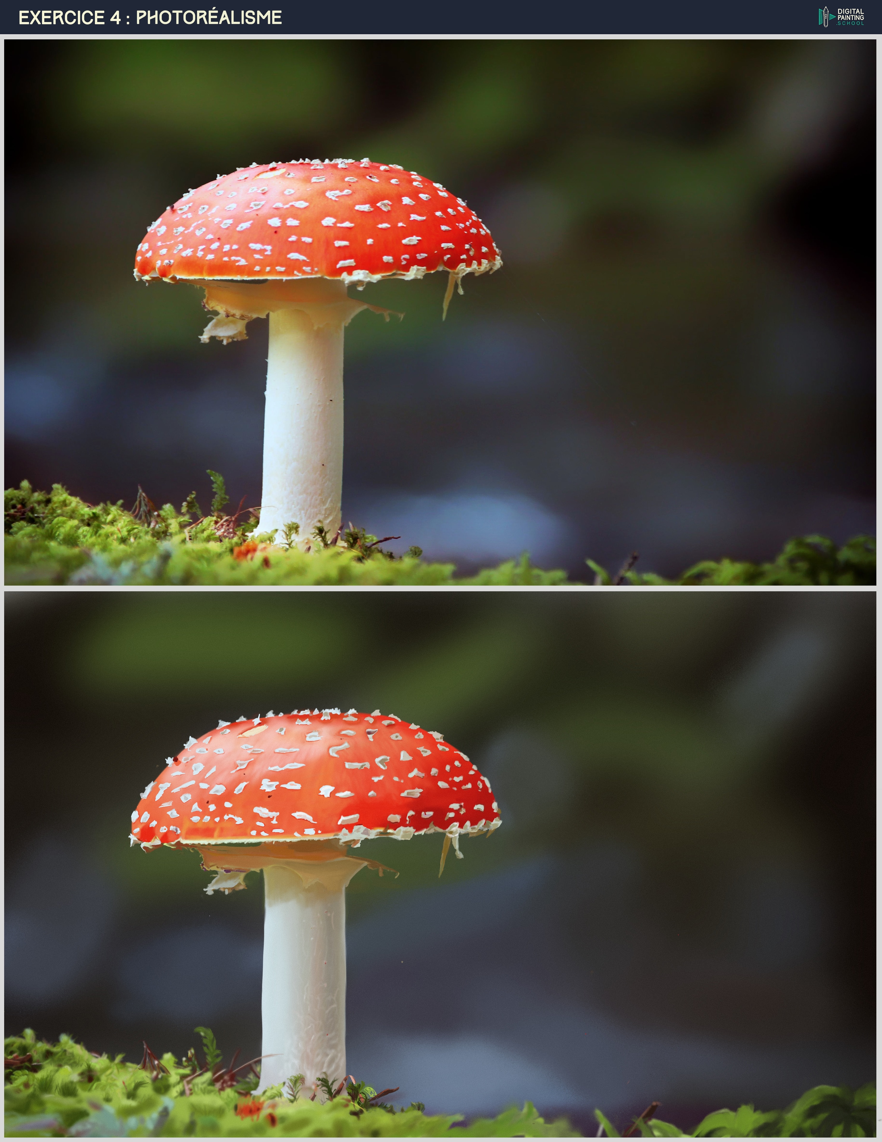 Chap1.9 exo 4 photoréalisme champignon par Image.In.R