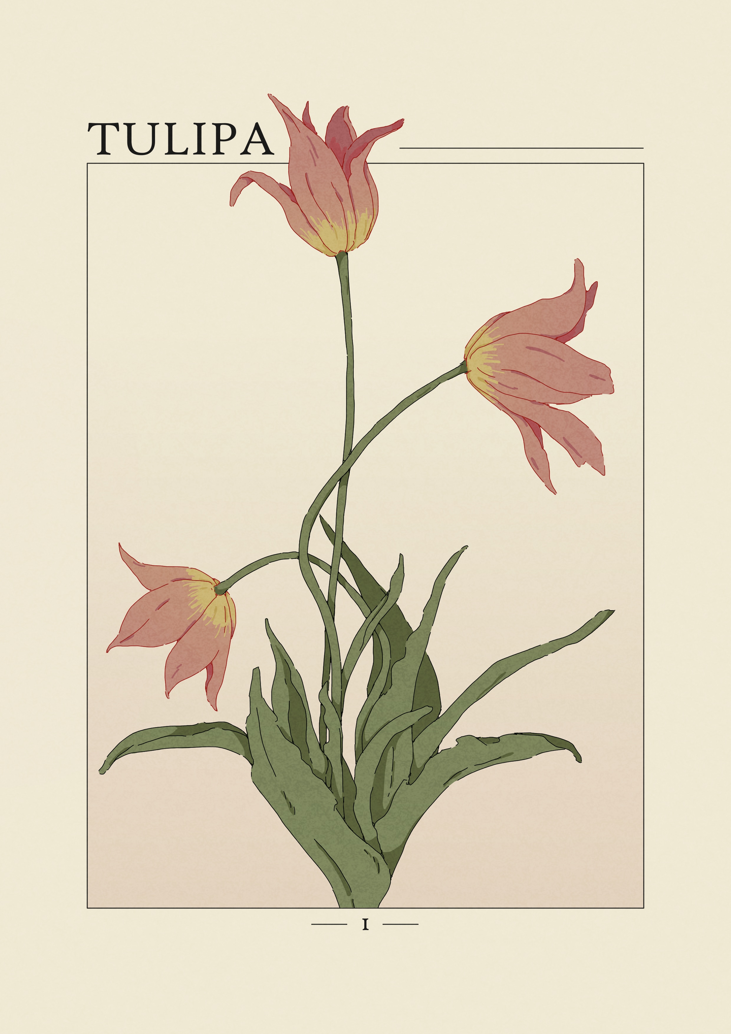 Projet Herbier par agingermoth