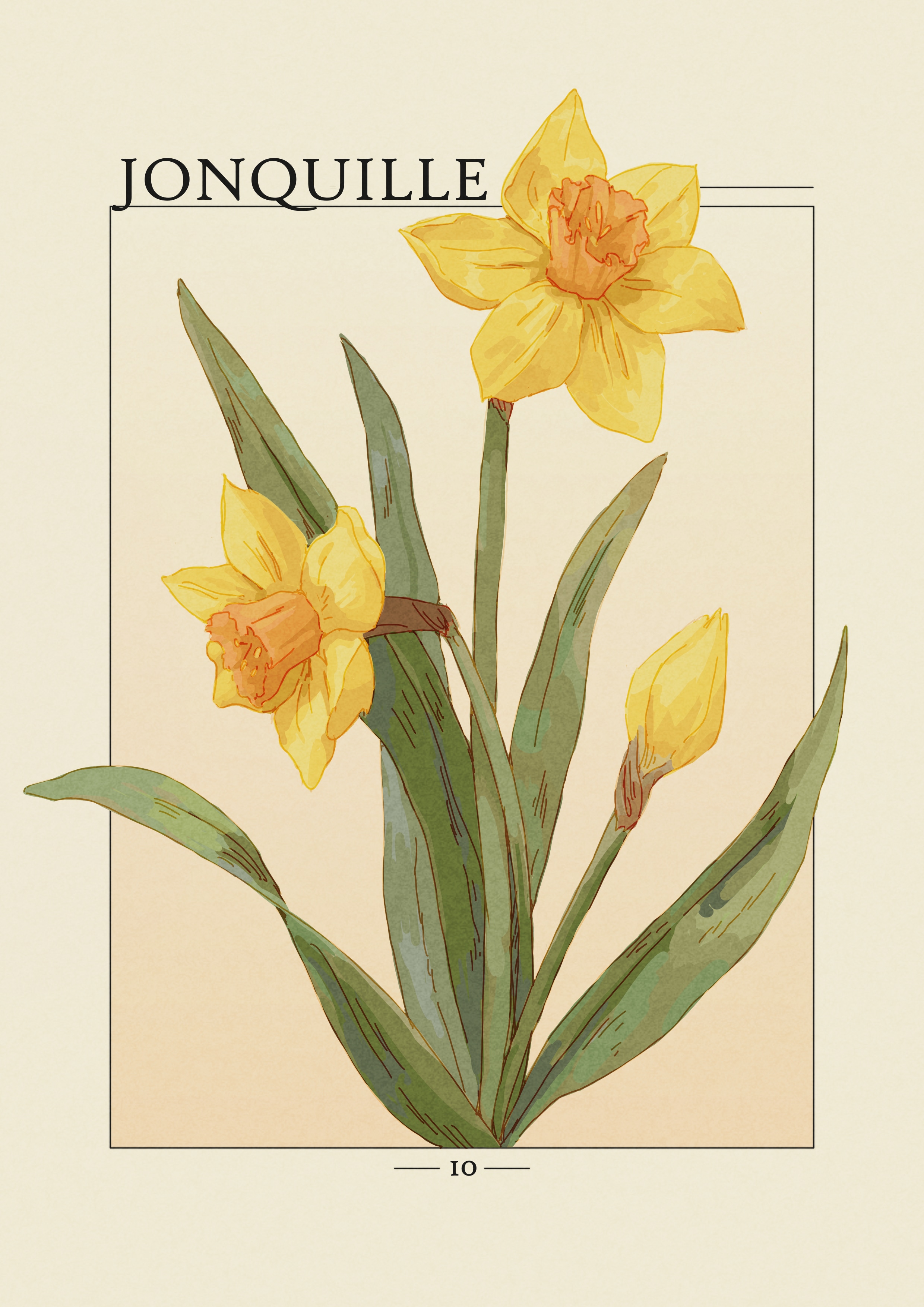 Projet Herbier par agingermoth