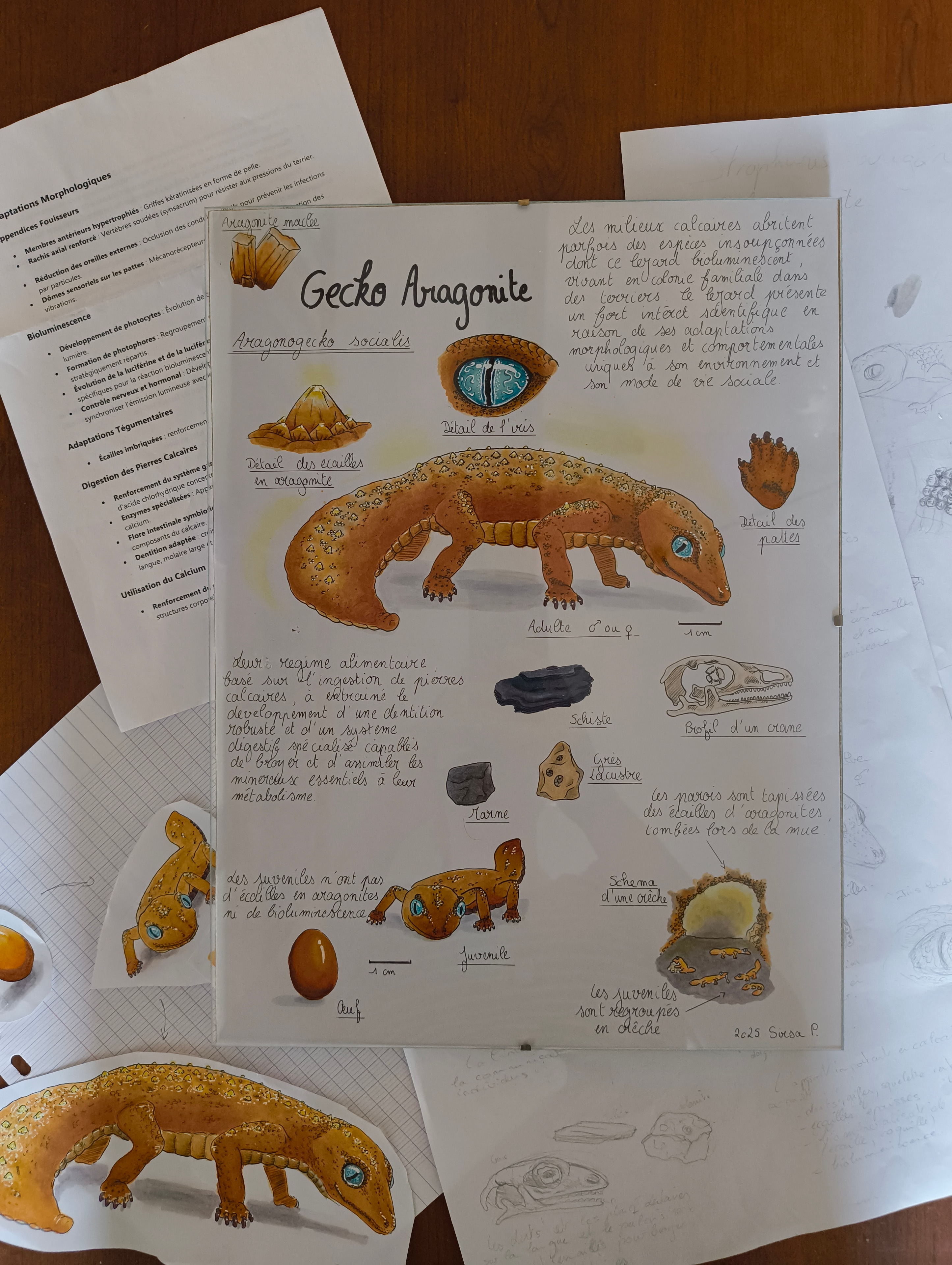 Le Gecko aragonite par SirsaPrince