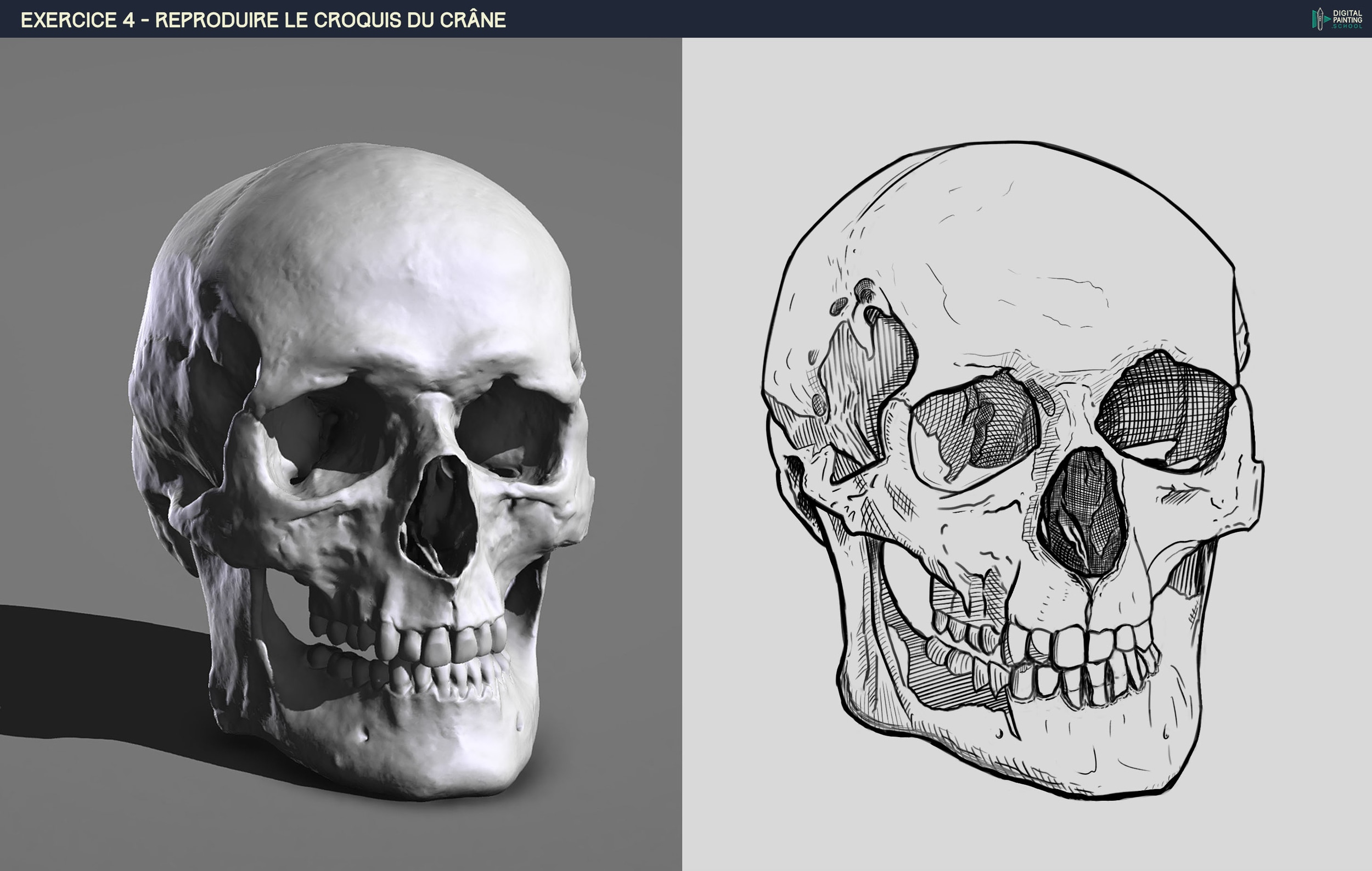 Study, Perso et Divers par LoupFok