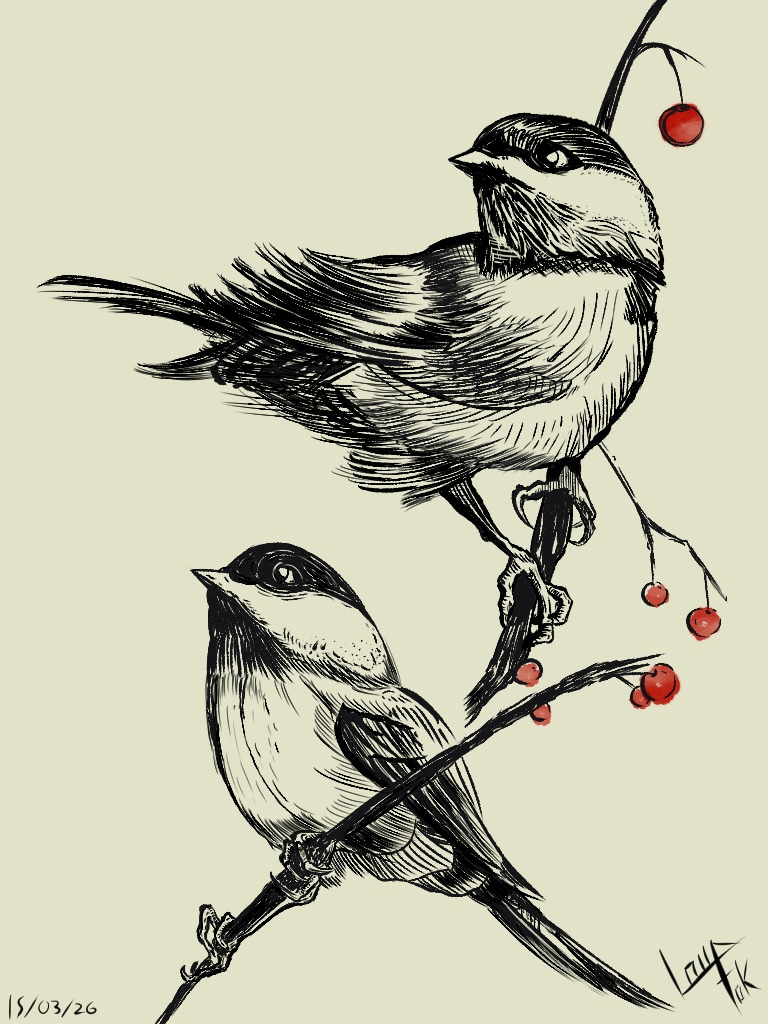 Study, Perso et Divers par LoupFok