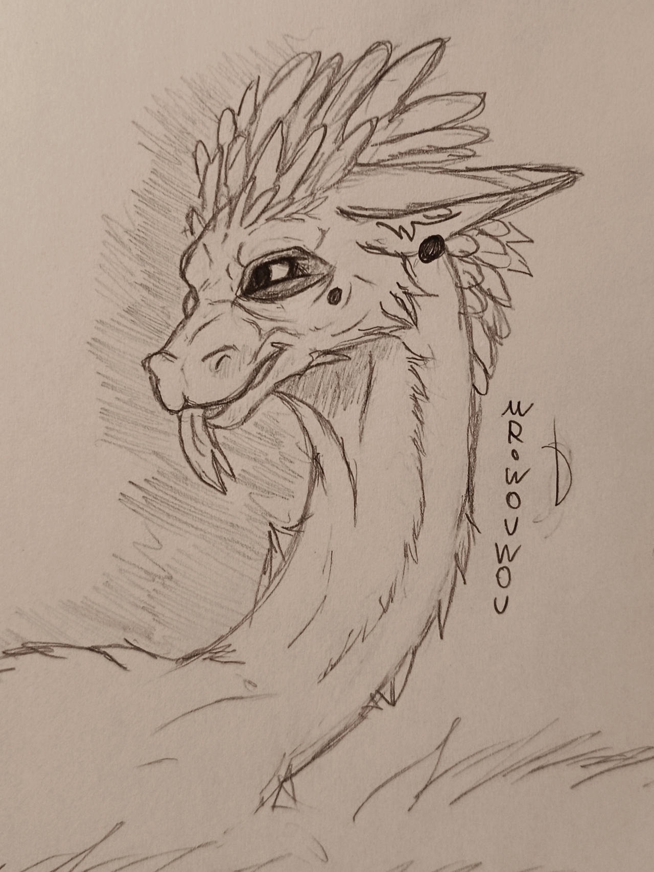 Eastern Dragon Sketchart par Mr.Wouwou