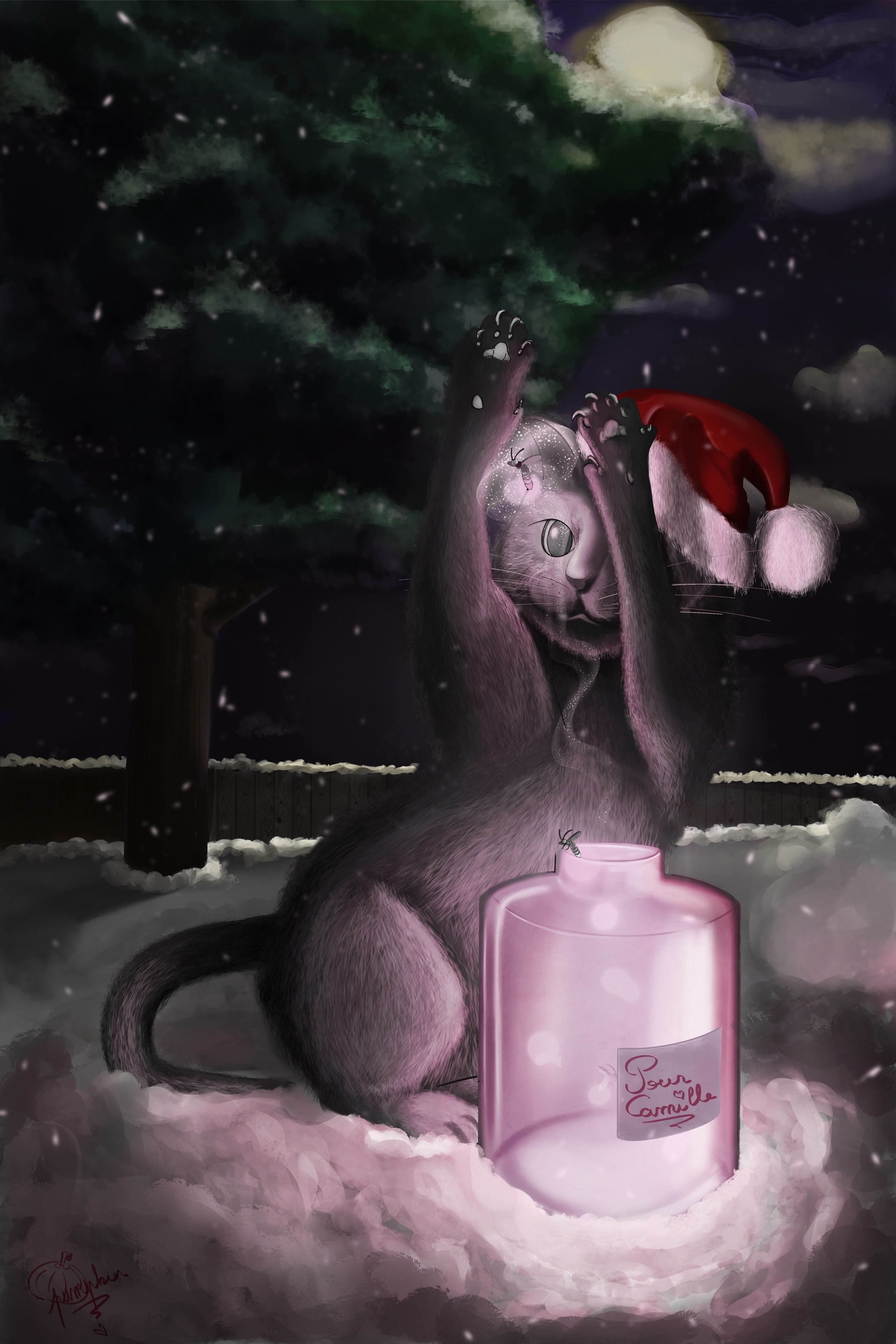 Secret sanra 2025 par Ninipumpkin