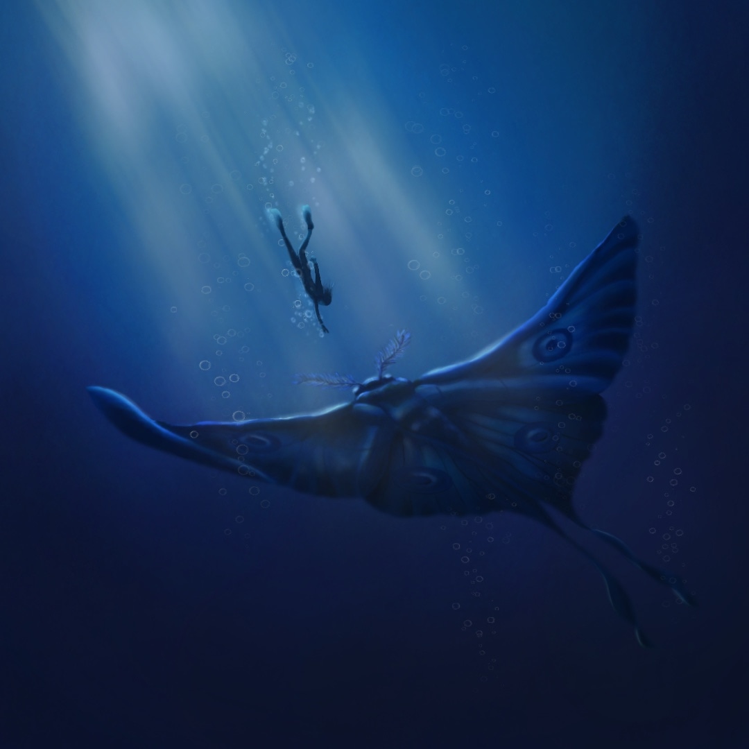 Jour 8 : "Sous l’eau" et "papillon de nuit" par Kyrra