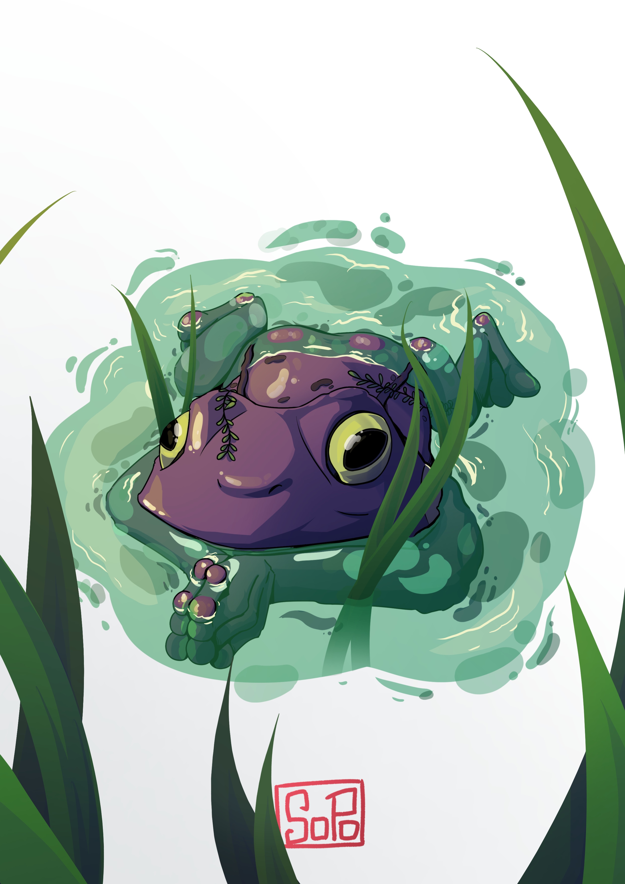 Potite grenouille par Sopo