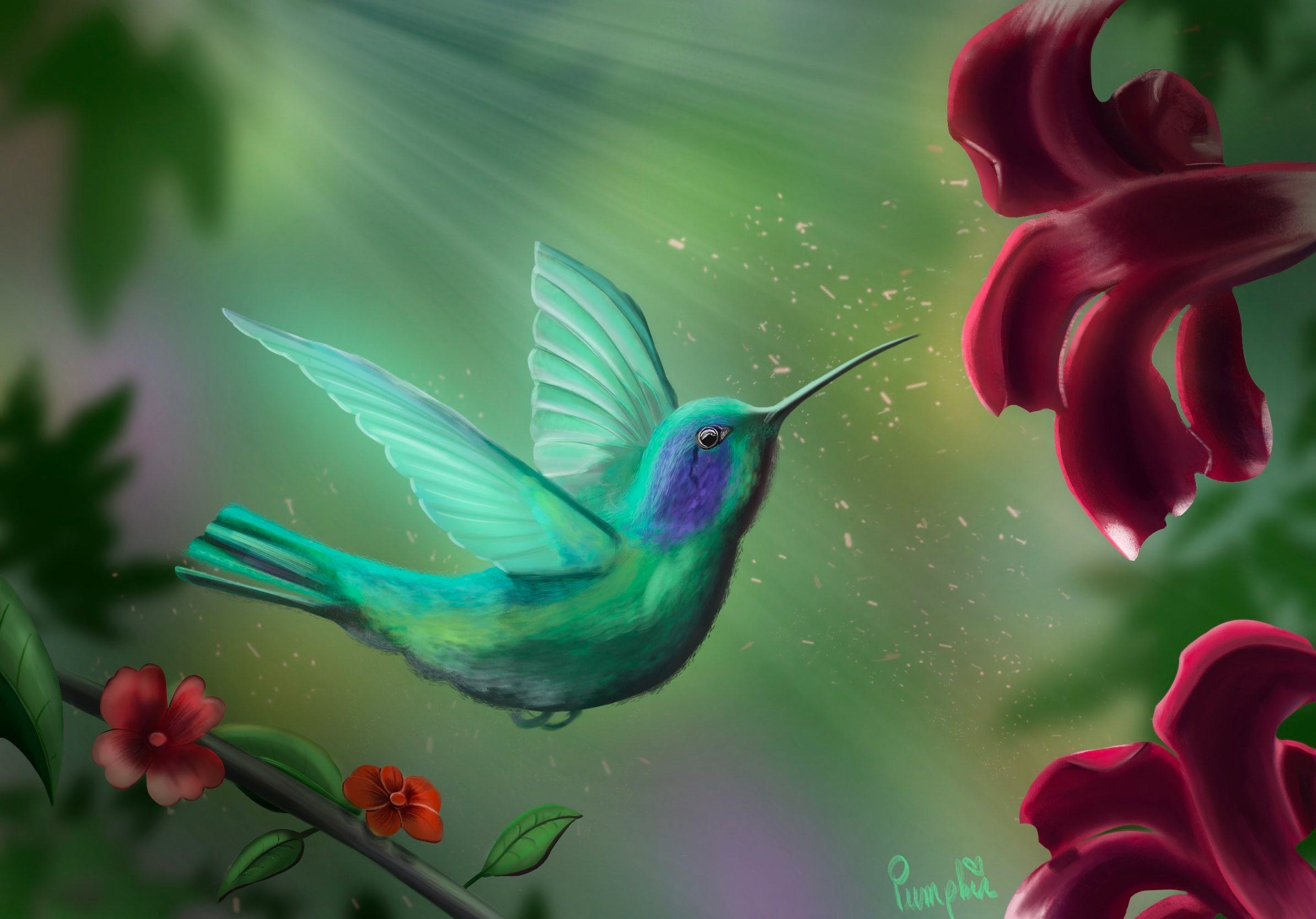 Colibri : cadeau fête des mères par Ninipumpkin