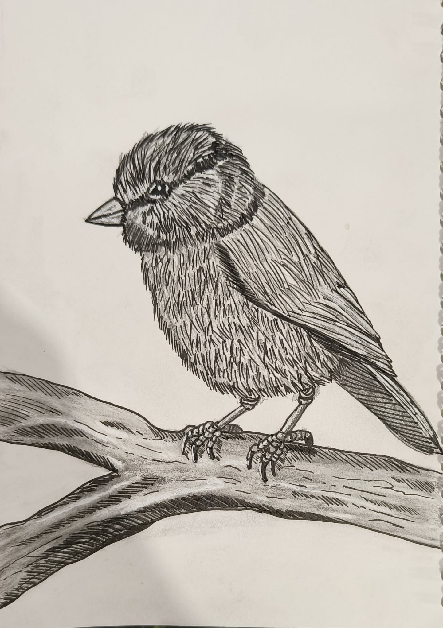 Dessins traditionnels par Sary