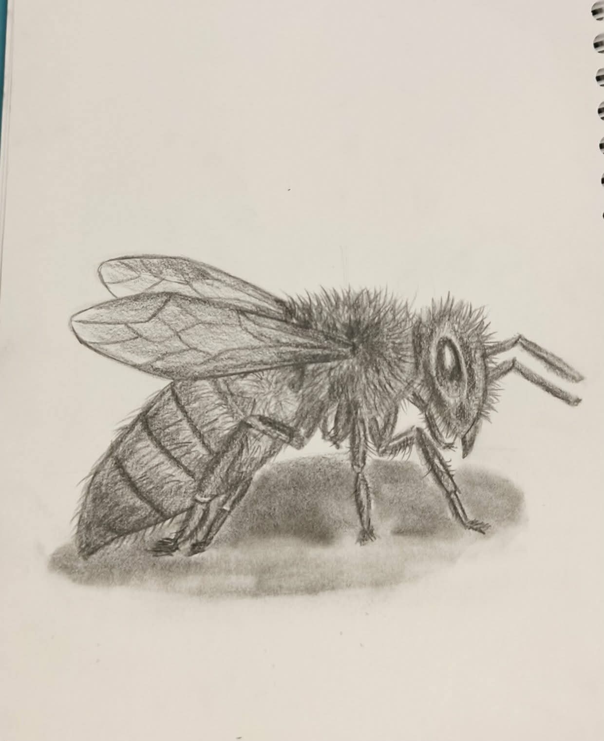 Dessins traditionnels par Sary