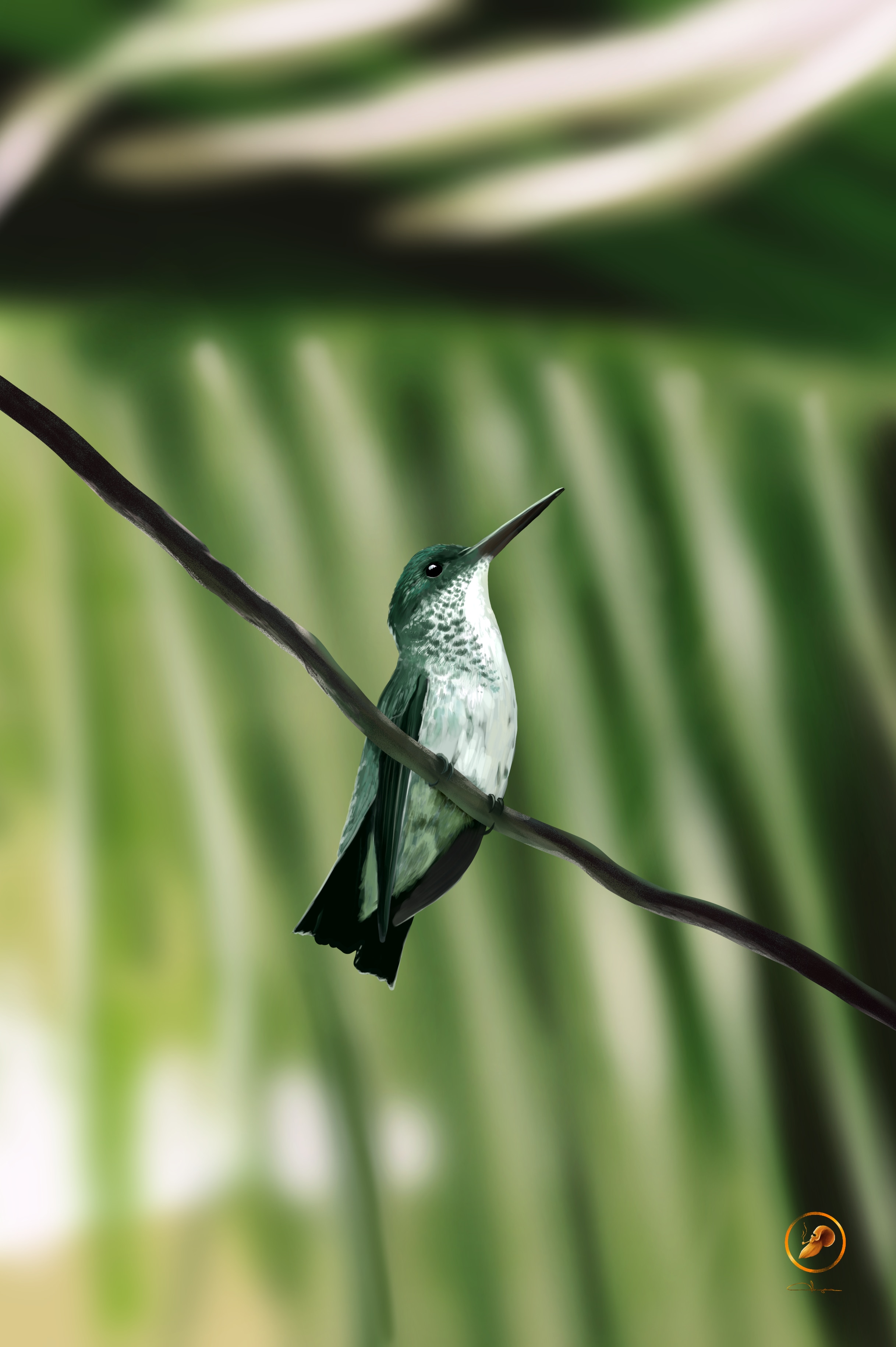 Étude d'oiseau par franco_dino