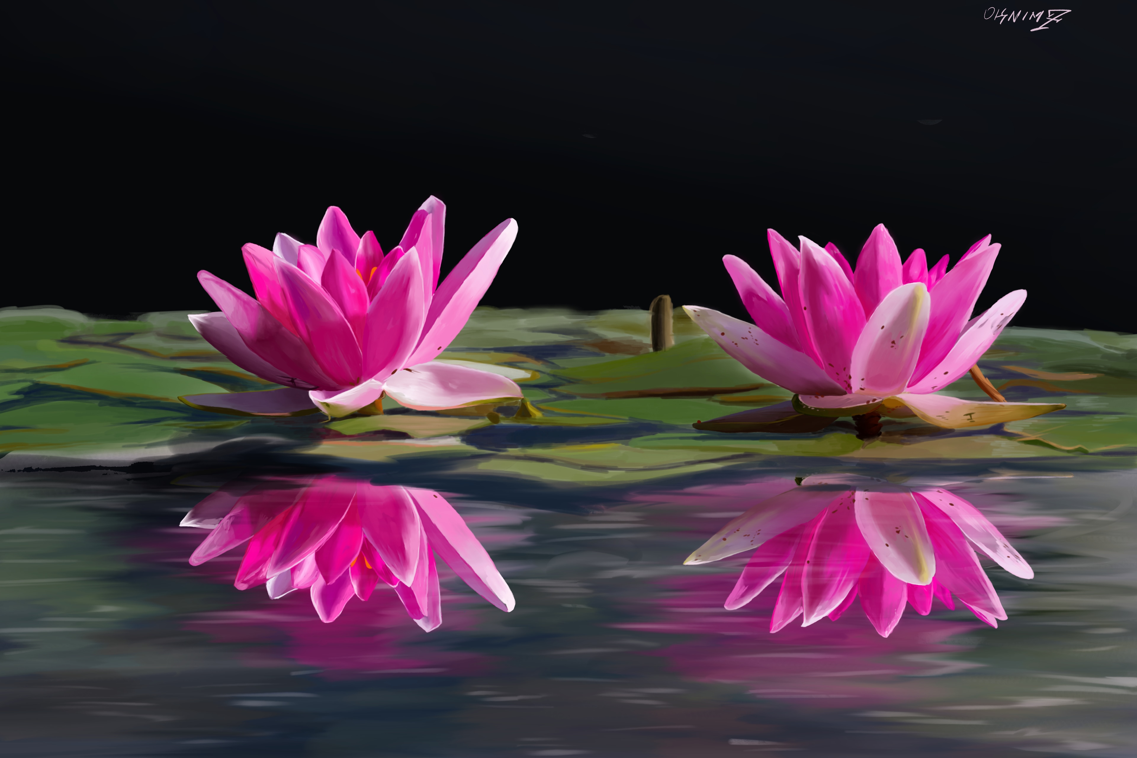 Exercice n°3 du programme - nénuphars 🐸 par oknim7