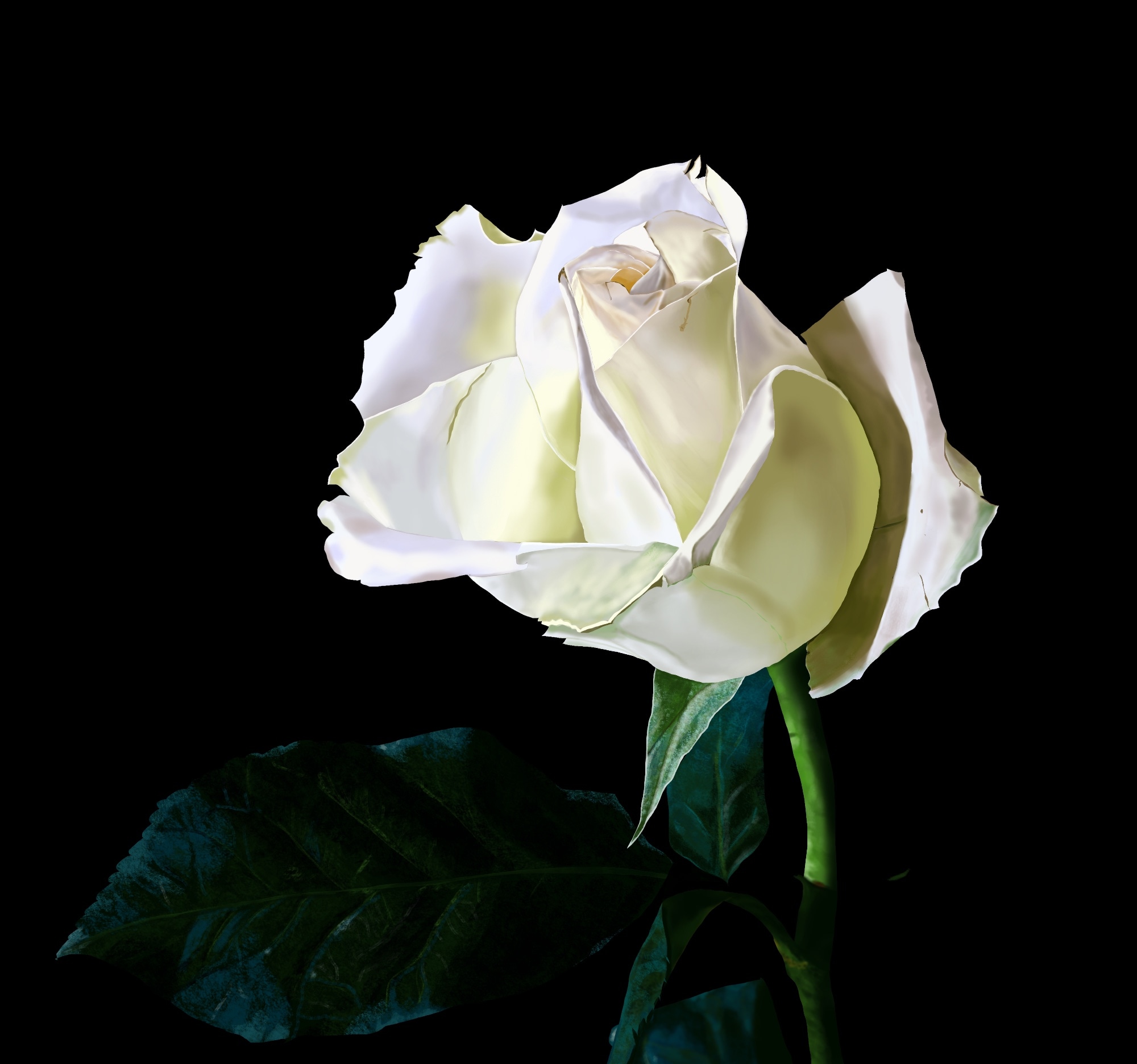 Exercice de la rose par Celine