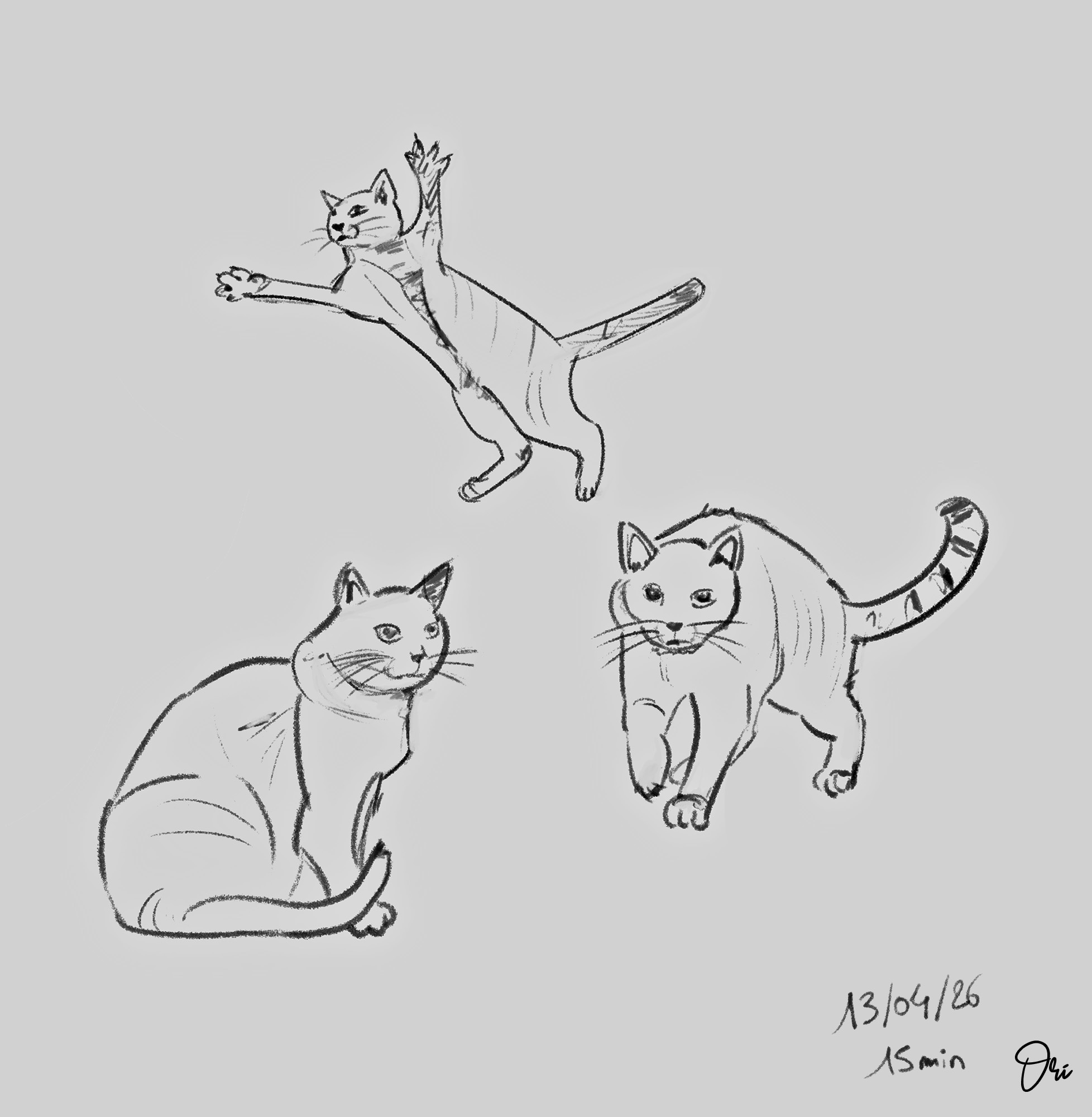 Défi d'Avril 2026 : 15 Minutes par jour par ori