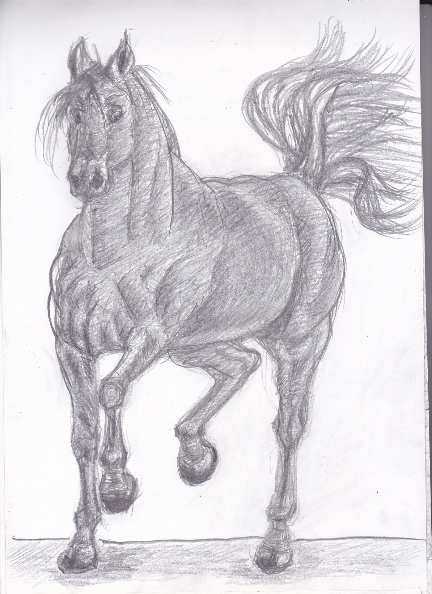 Croquis en traditionnel par starman