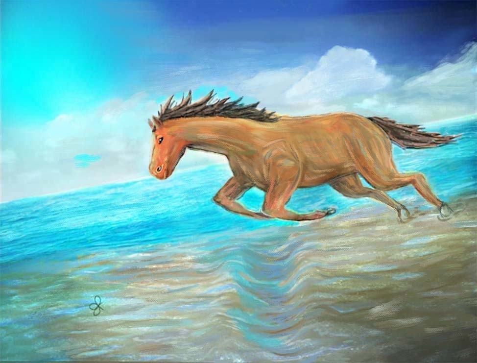 cheval galopant sur la plage par Jean-Philippe