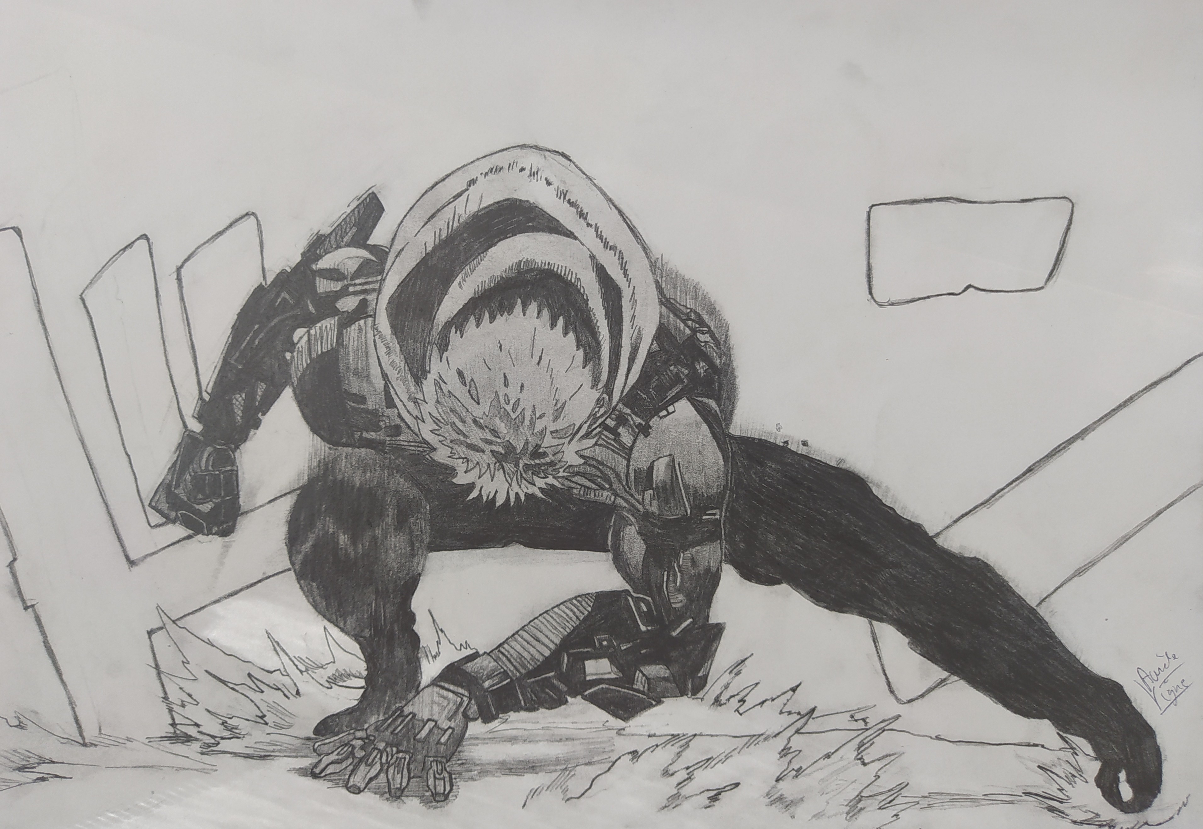 Dessins sur feuilles par sirfyc