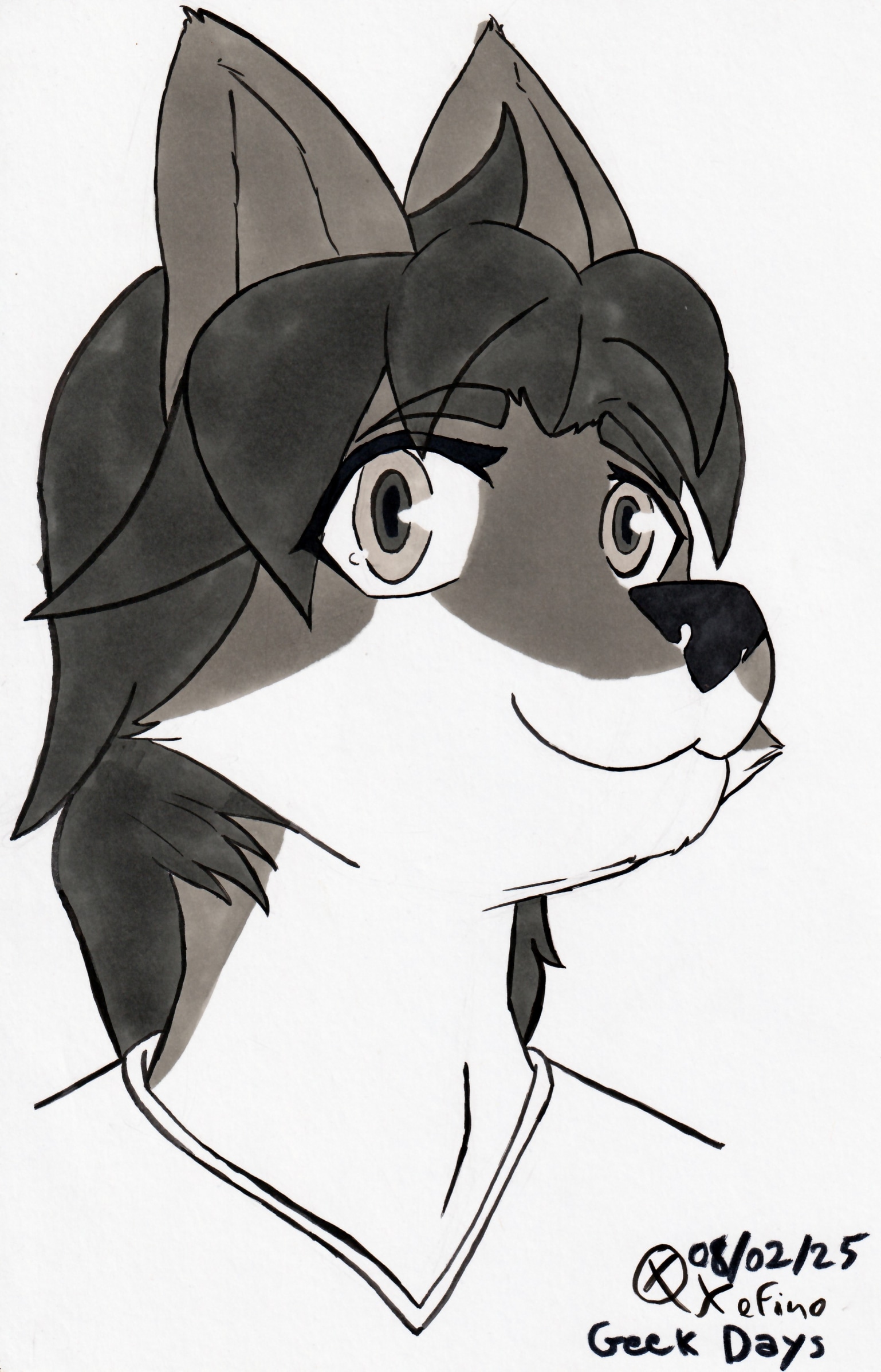 rétrospective 2025 par xefino_35