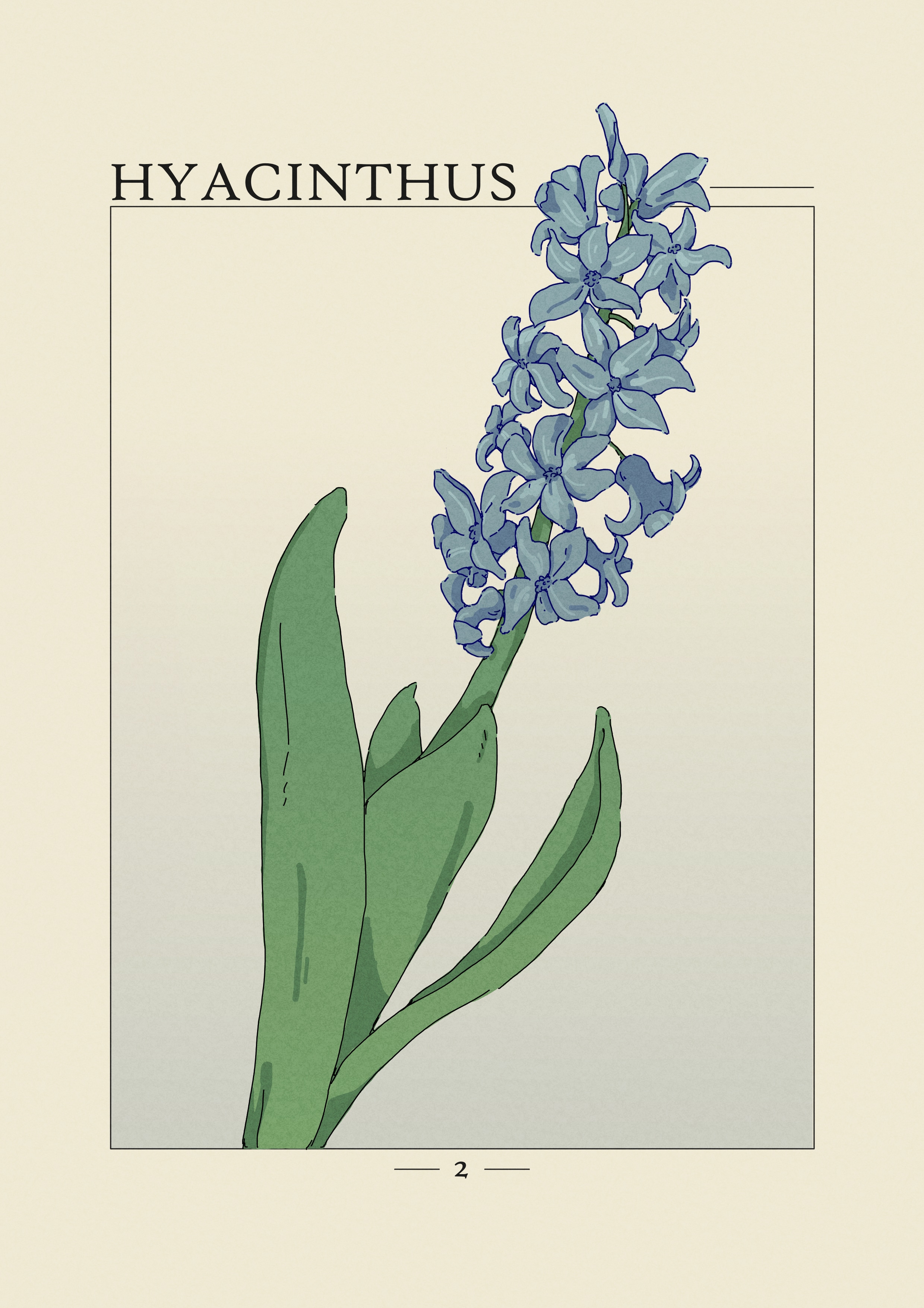 Projet Herbier par agingermoth