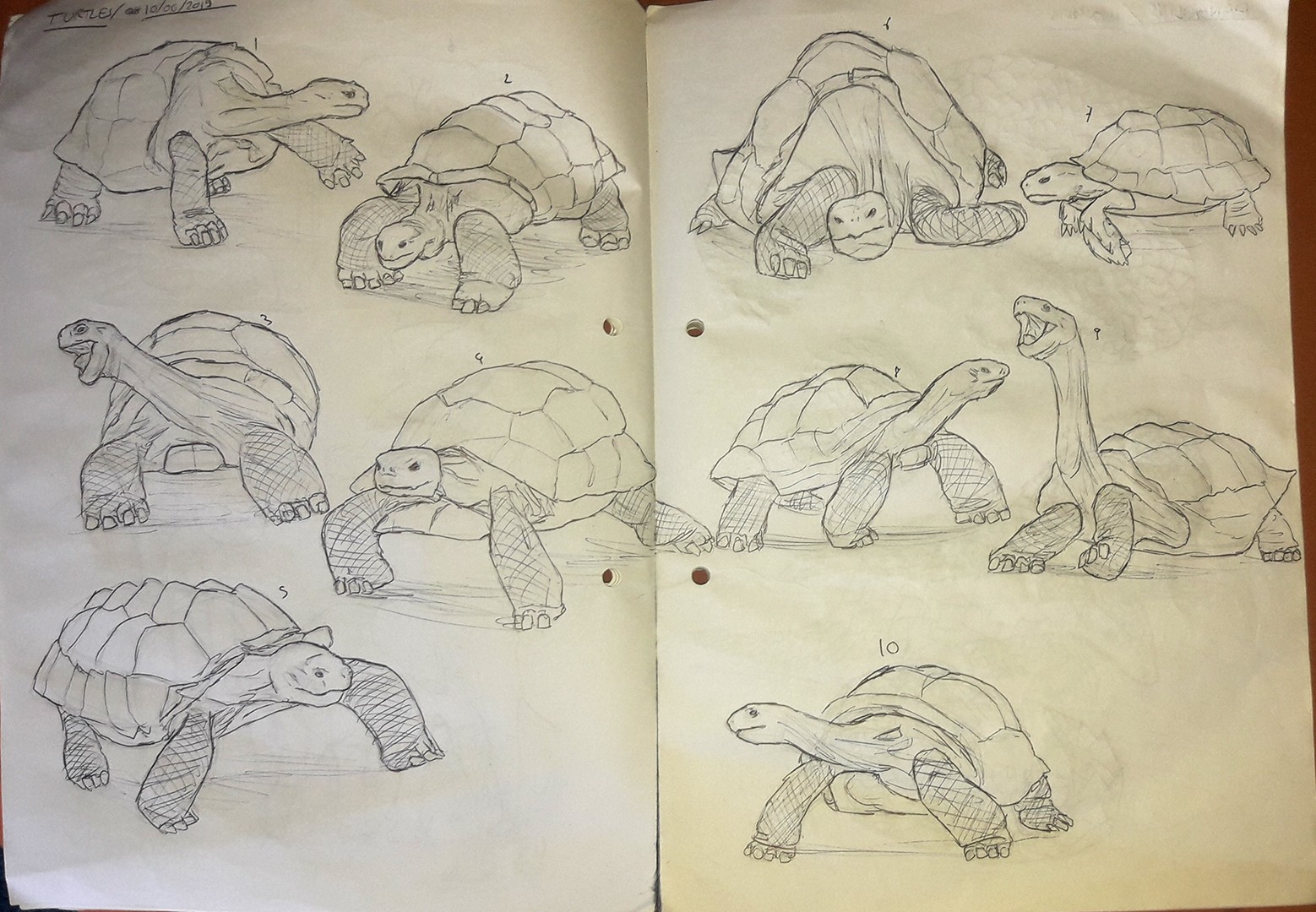 20200116_154425 par Axel G.