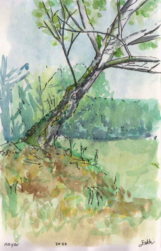 Aquarelle d'après nature par Esther