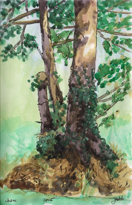 Aquarelle d'après nature par Esther