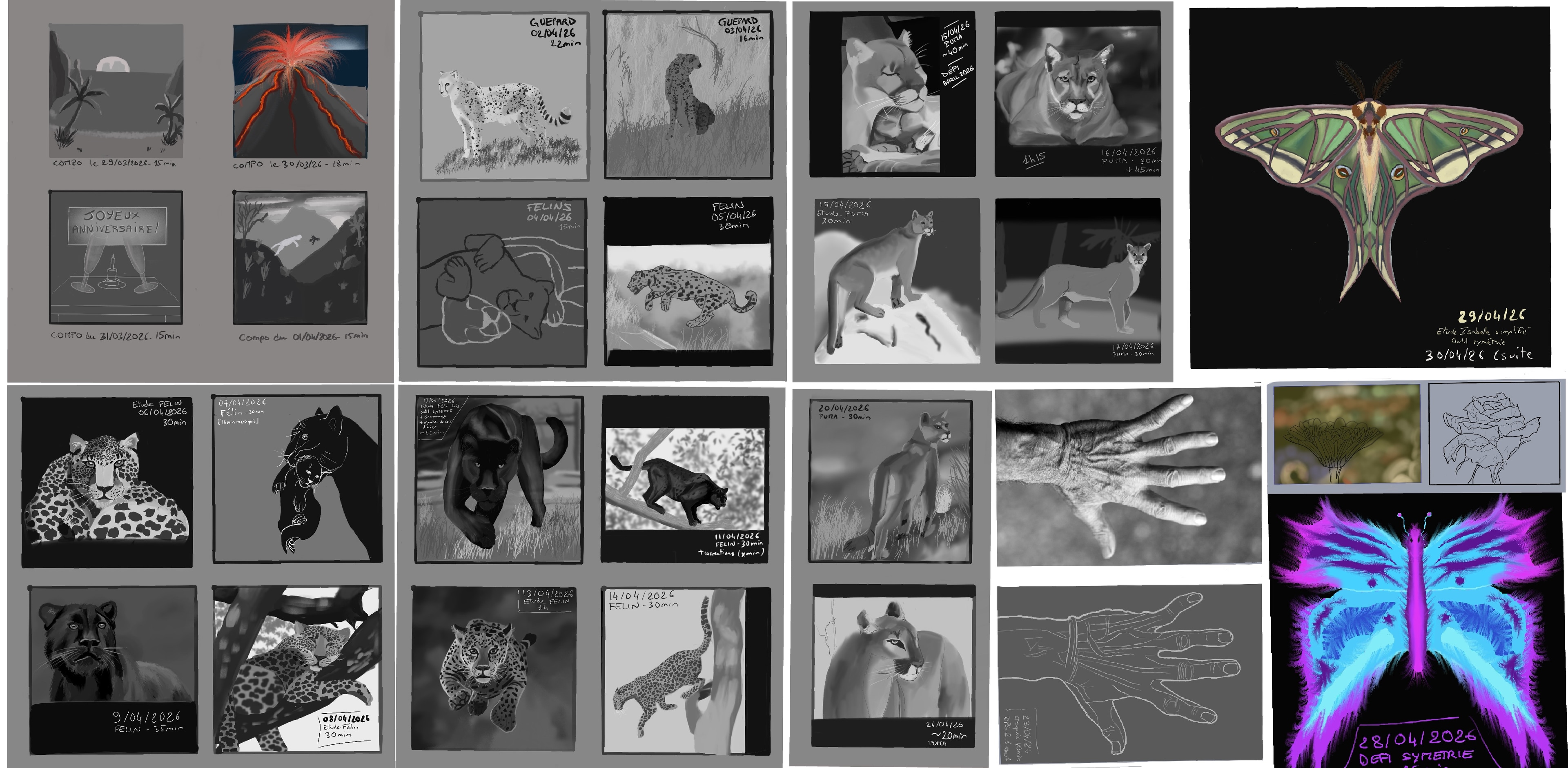 DEFI avril 2026 par Image.In.R