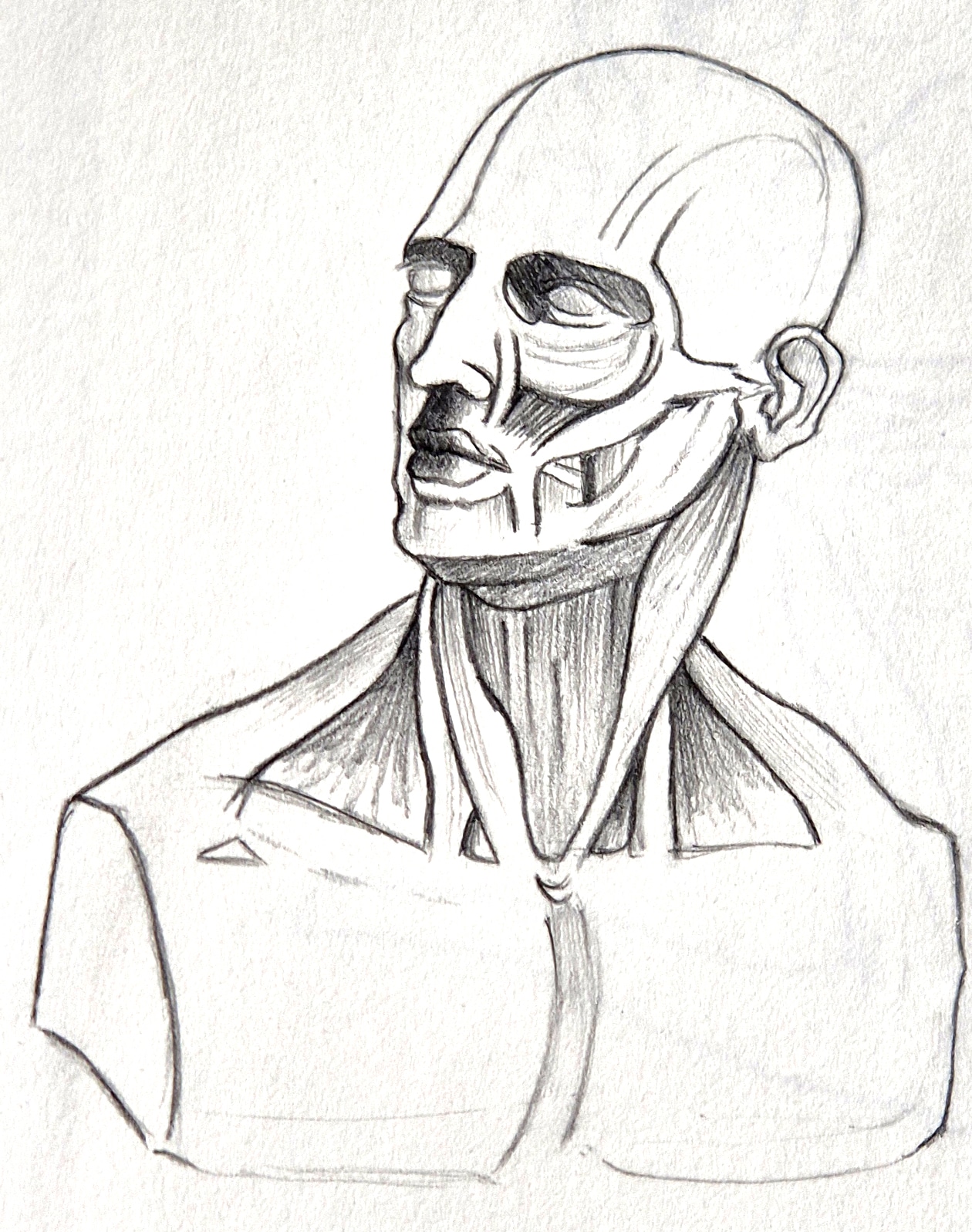 Tête et cou par Taliesin