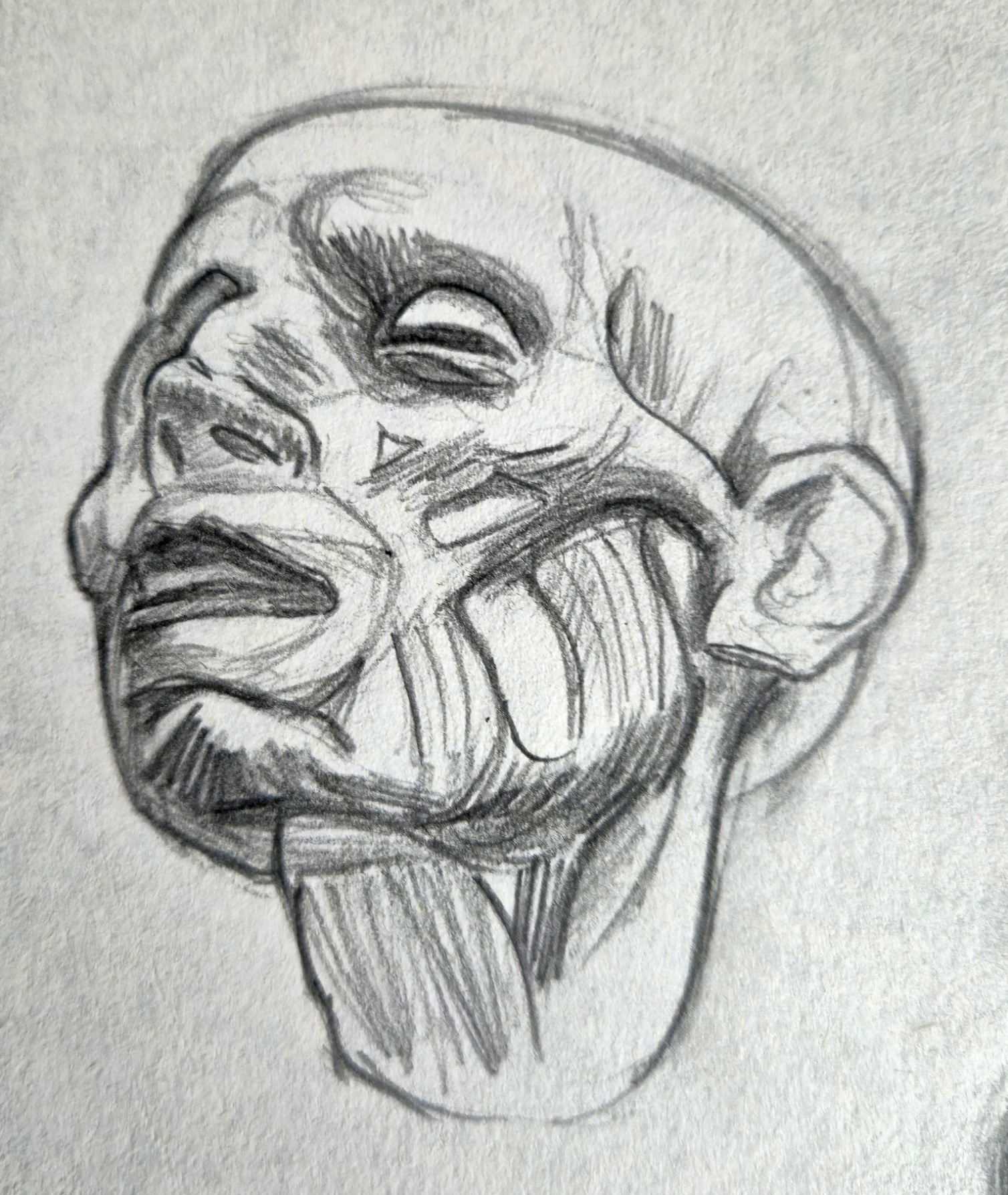 Tête écorchée par Taliesin