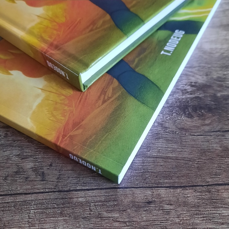 Les Chroniques de Bïmboll - Livre 1 : Sindär par gtpix