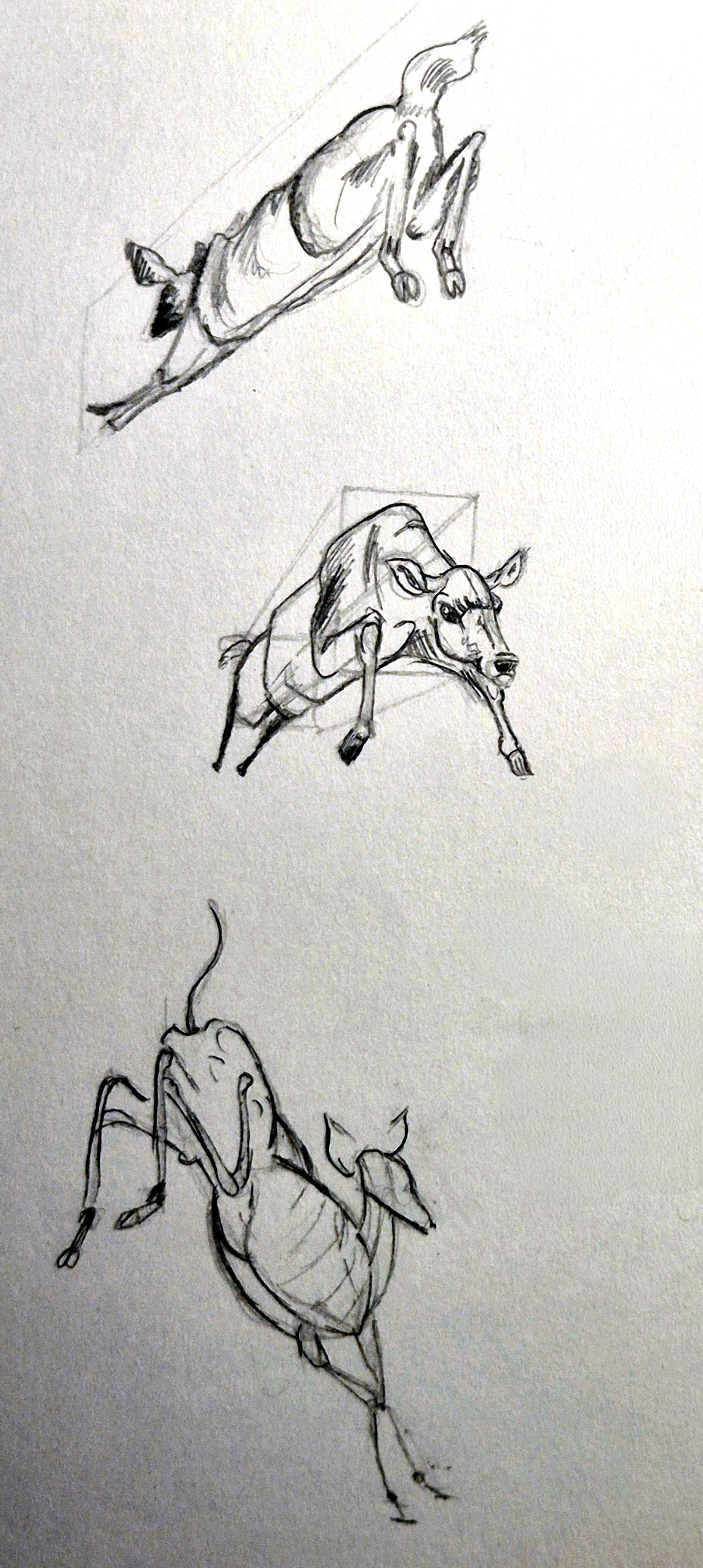 Sketeches cervidés par Taliesin