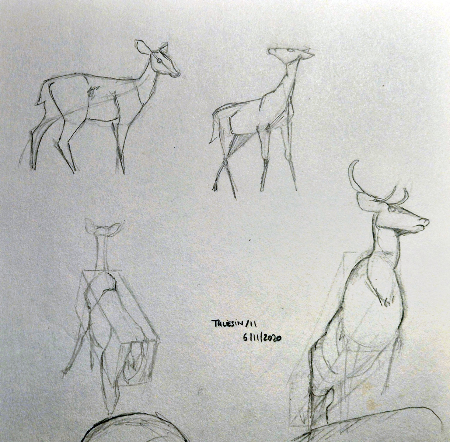 Sketeches cervidés par Taliesin