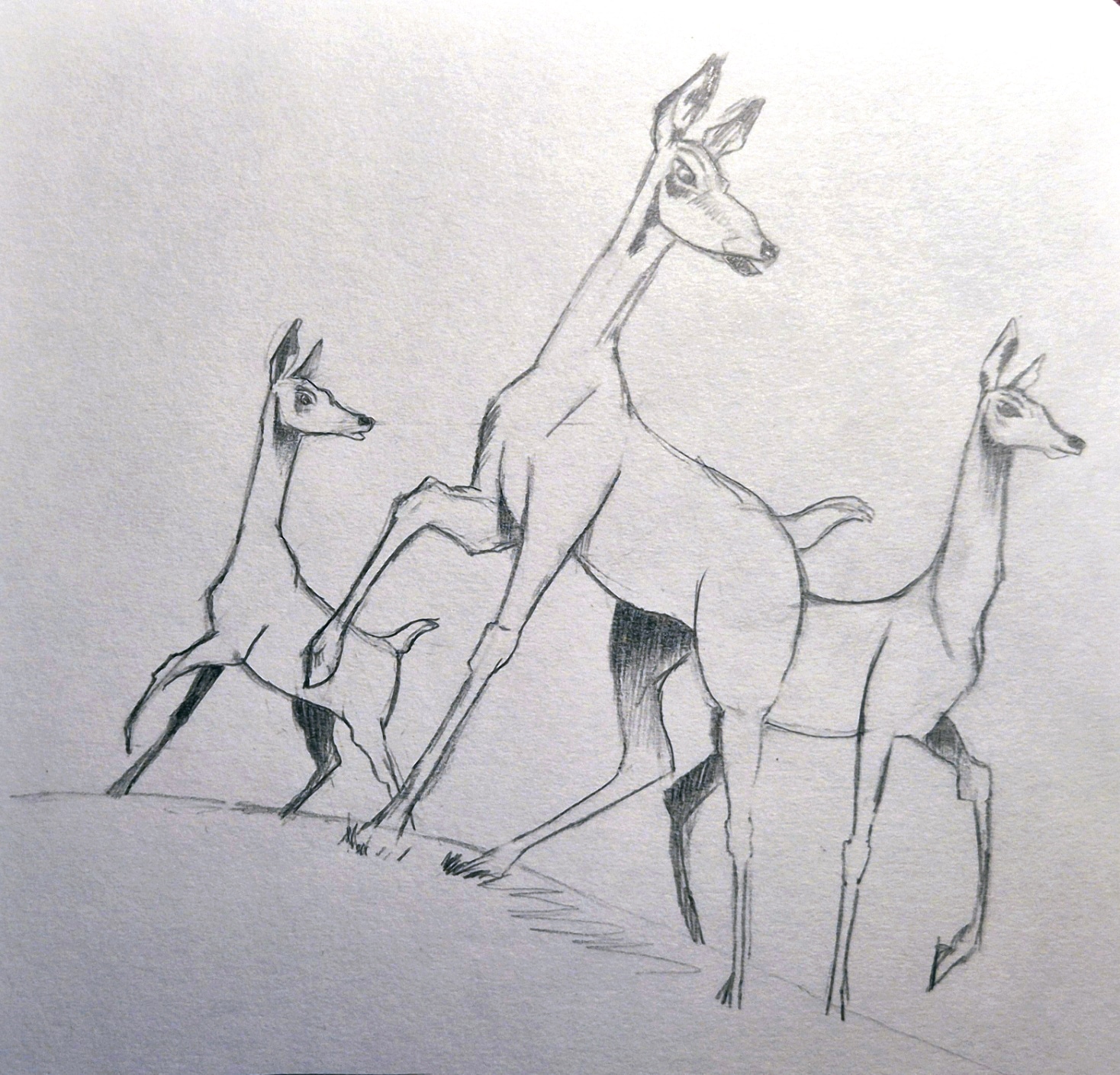 Sketeches cervidés par Taliesin