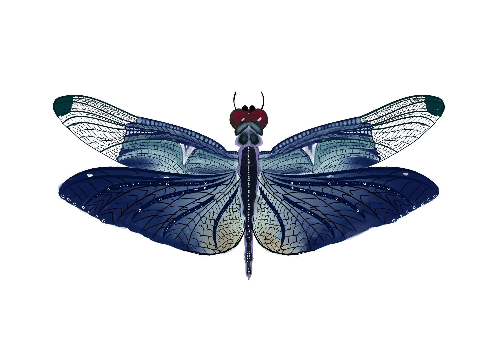 Libellule par Eressëa