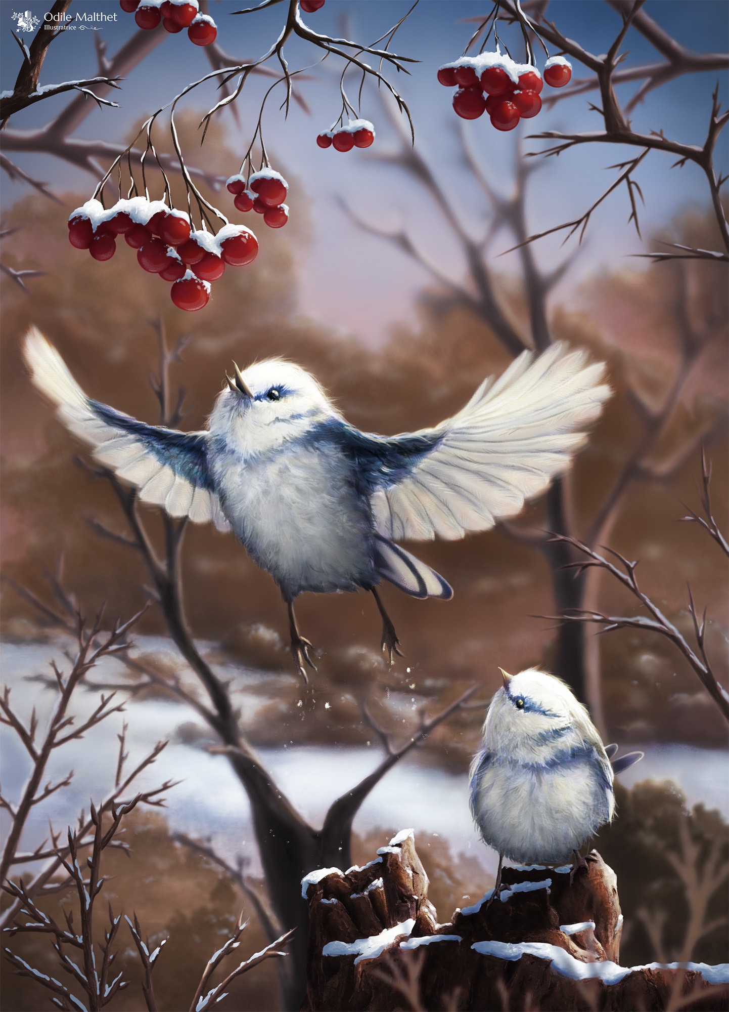 Oiseaux en hiver par odile_m