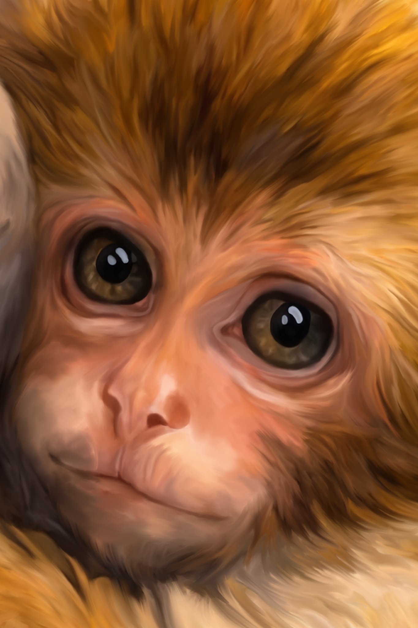 Moment Fragile par sami_b