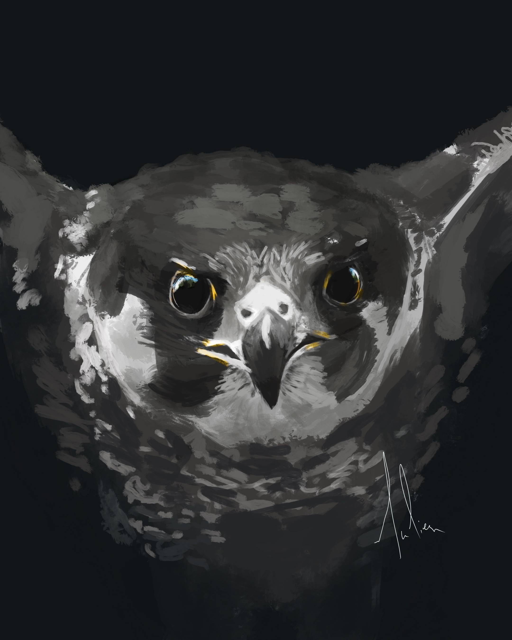 Wildlife Study par JulienVougaz